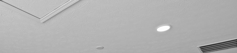 Photo #29