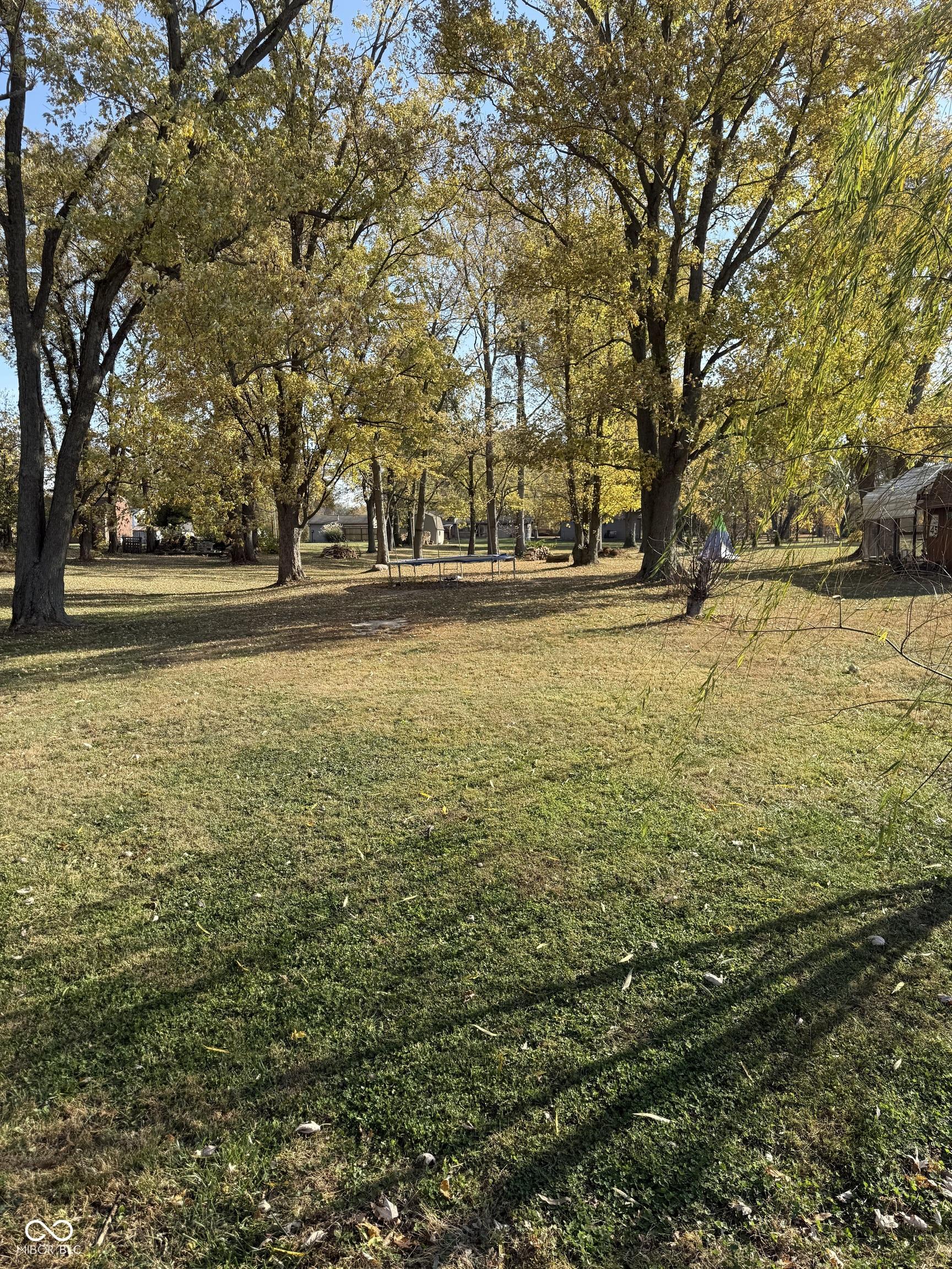 Photo #27