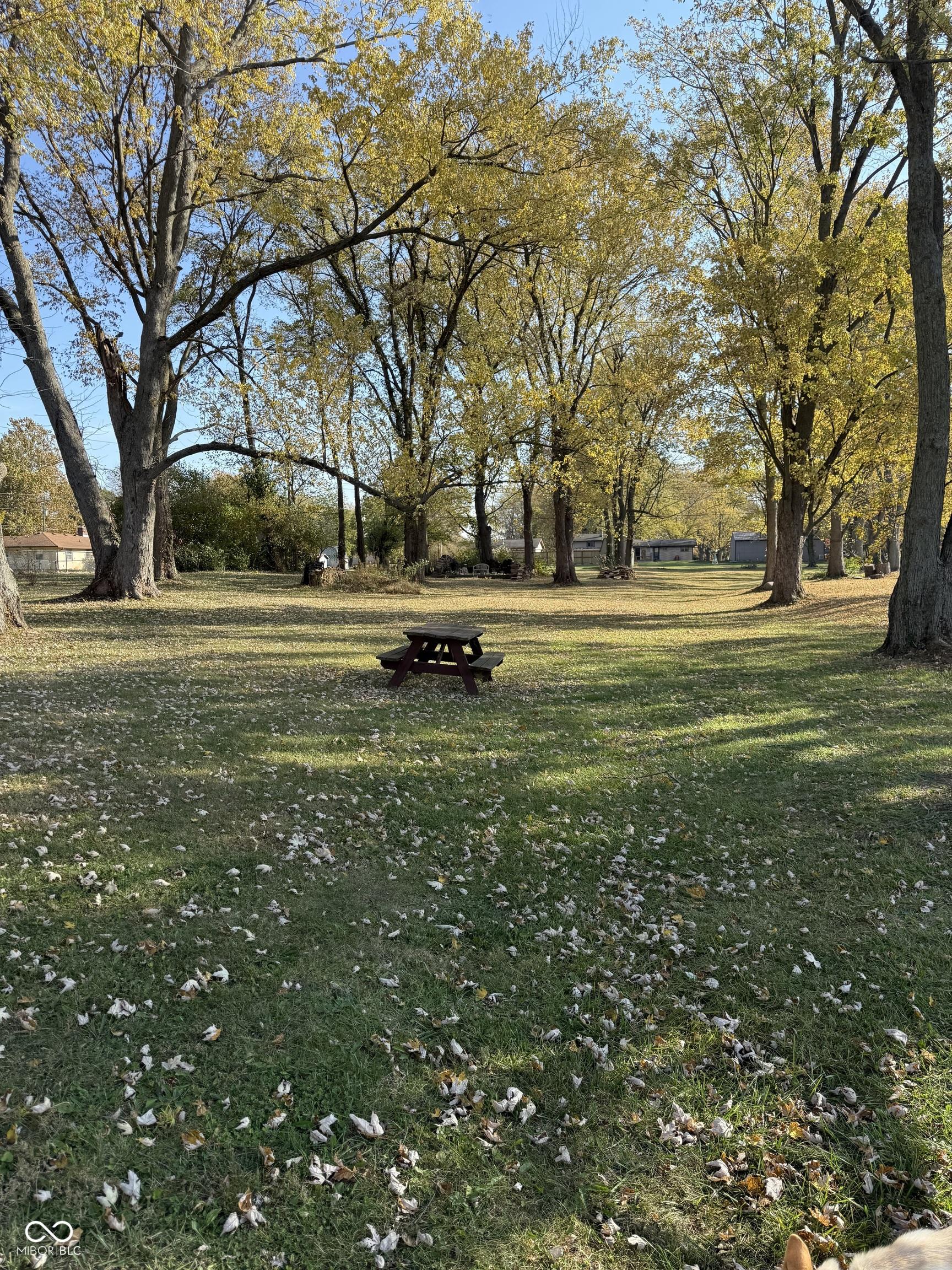 Photo #28