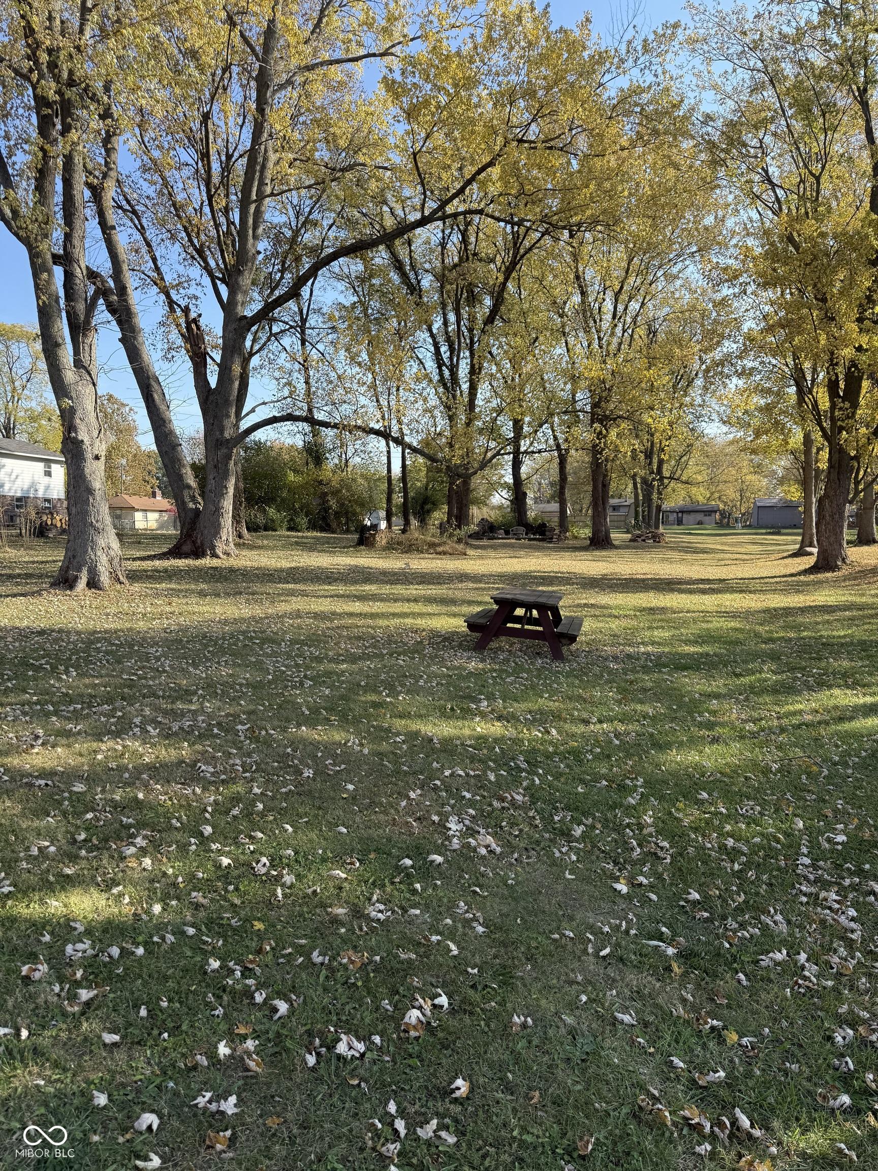 Photo #29