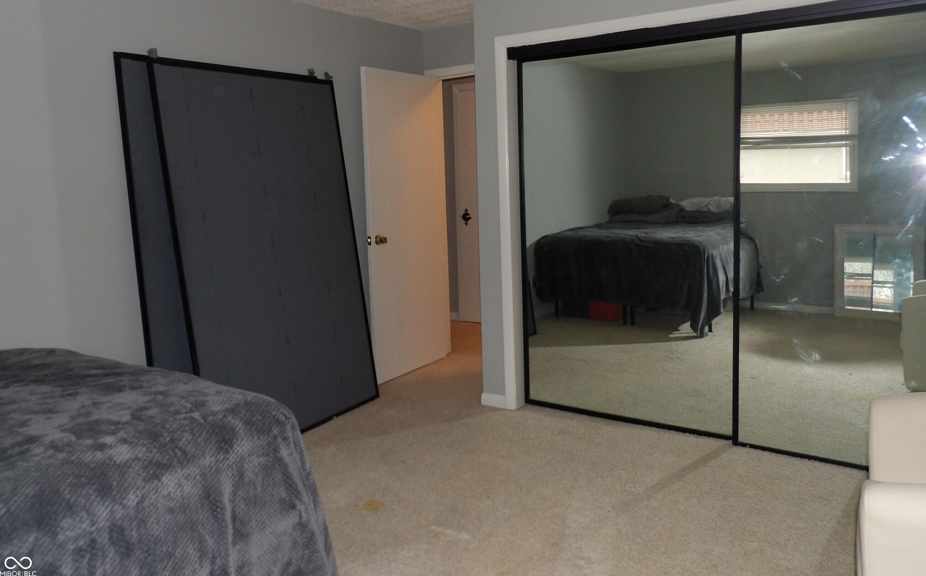 Photo #12
