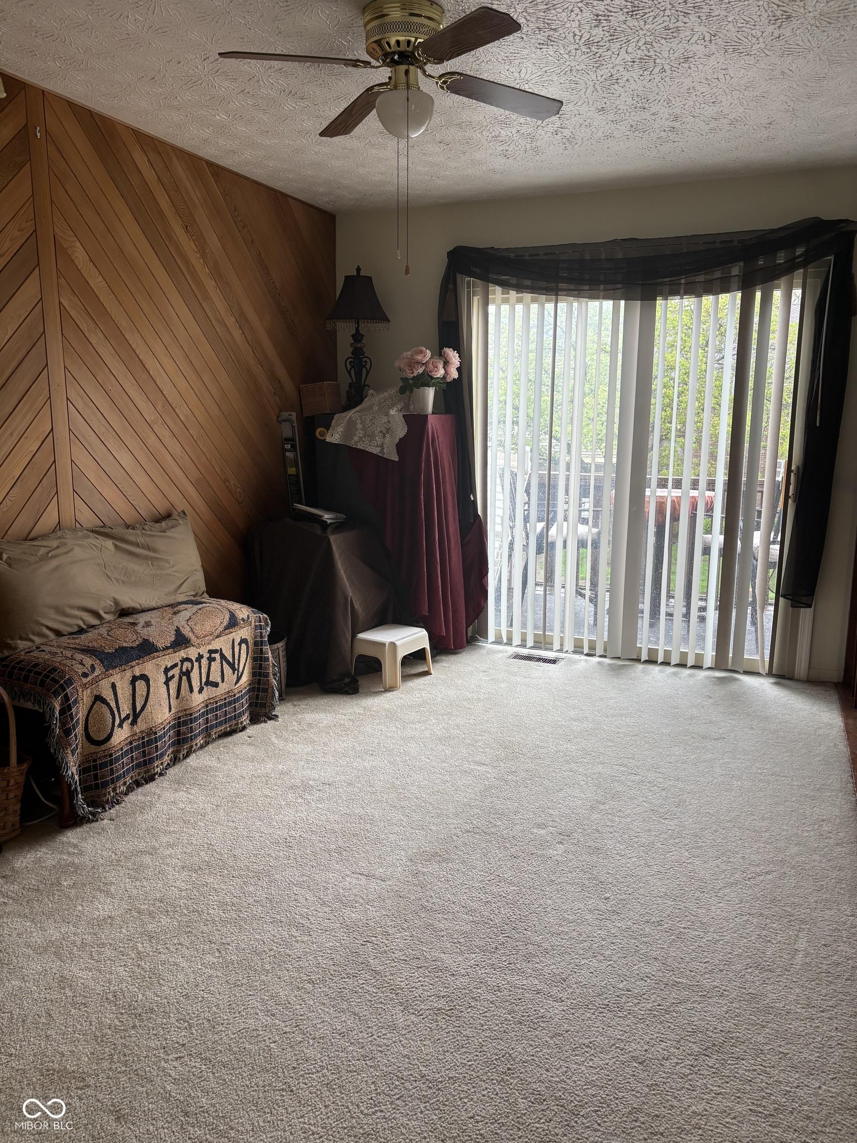 Photo #12