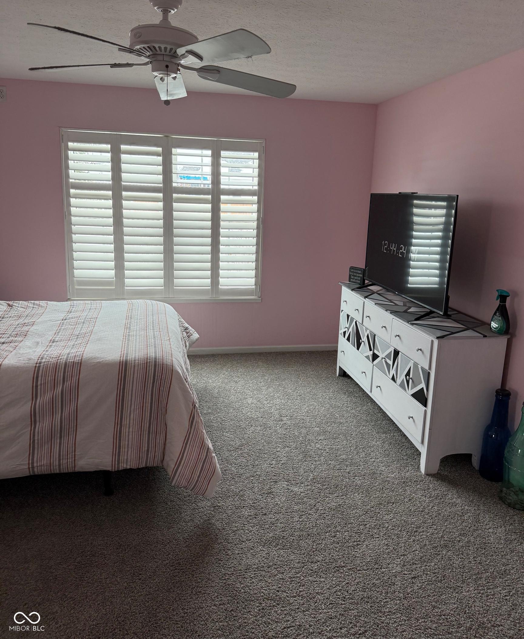Photo #15