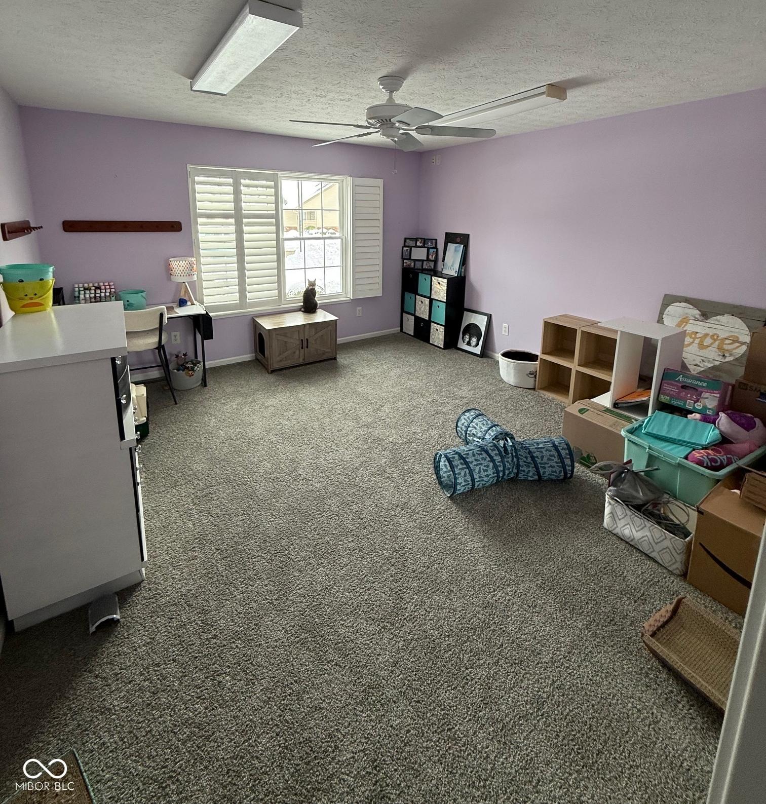 Photo #12