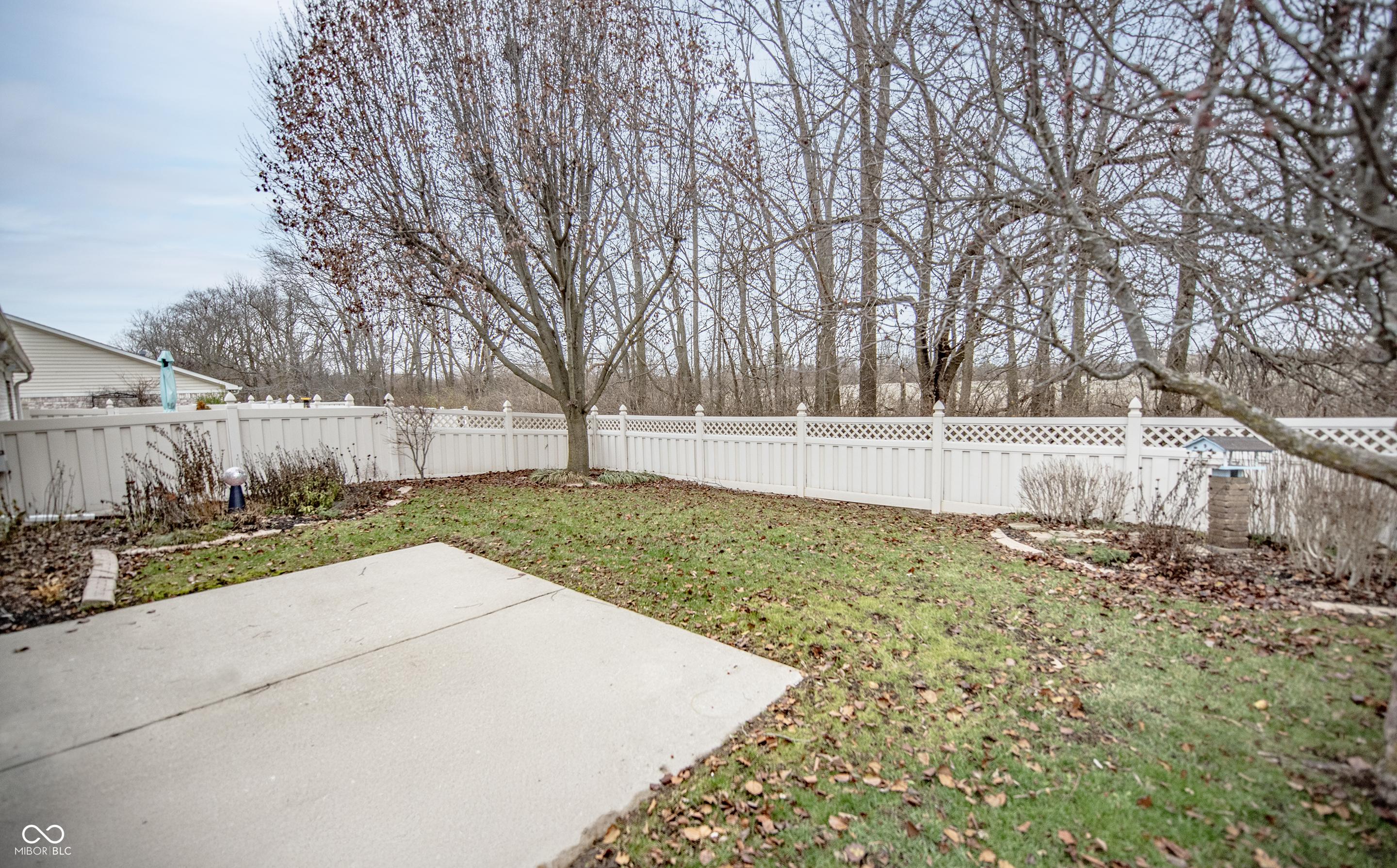 Photo #10