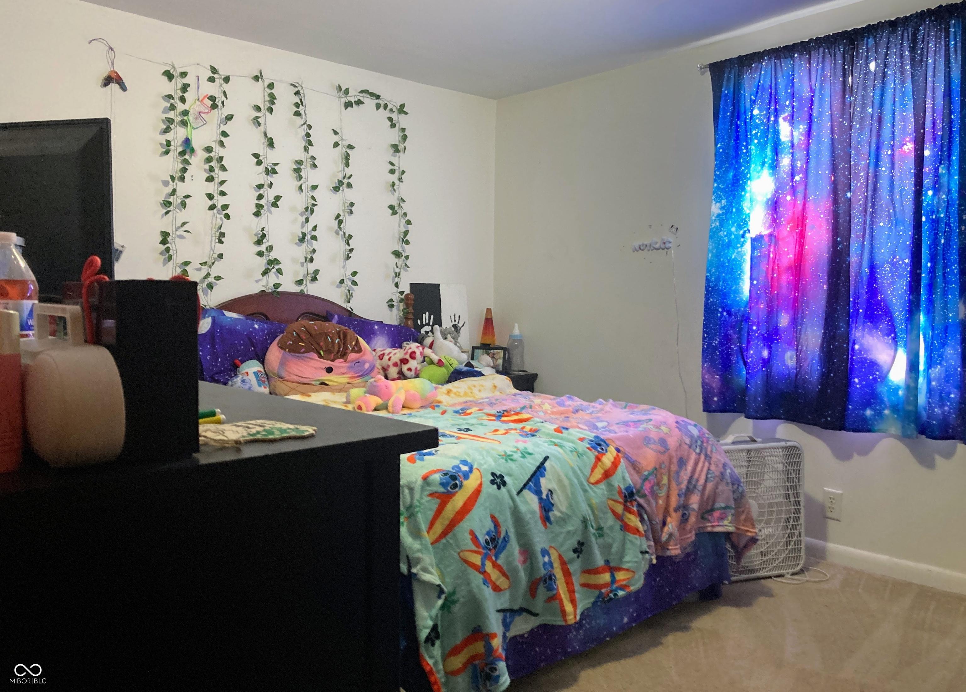 Photo #17