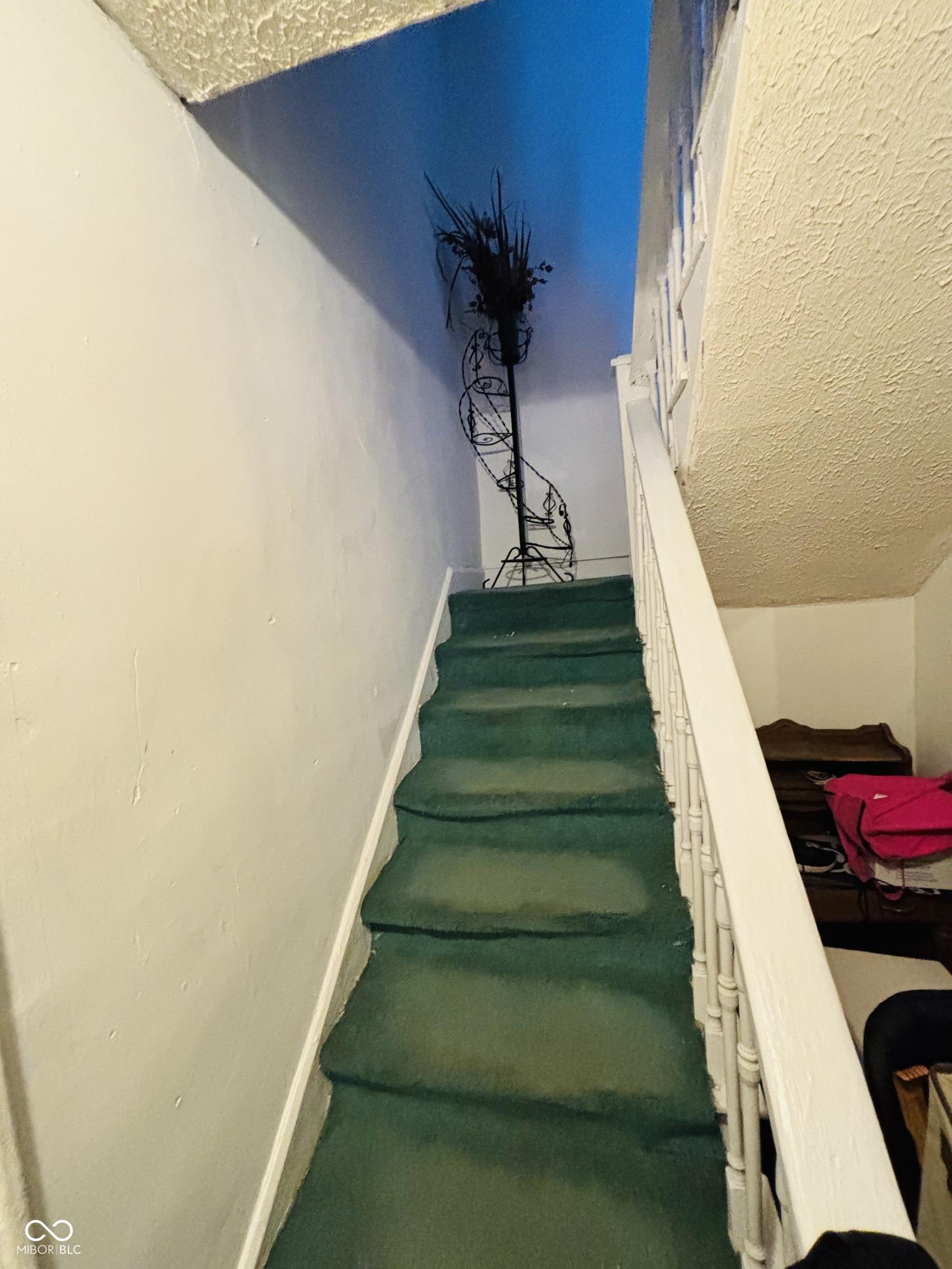Photo #10