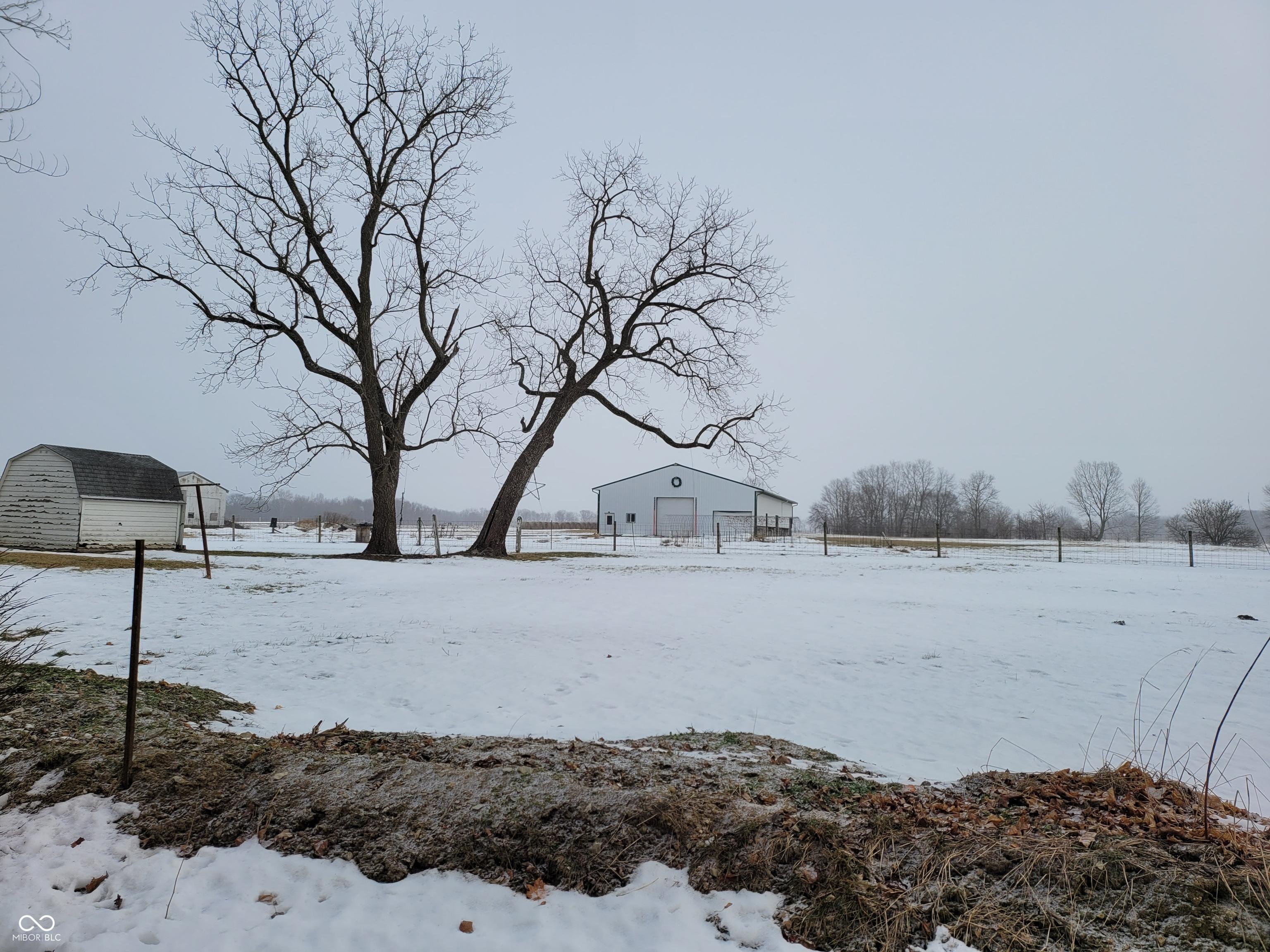 Photo #18