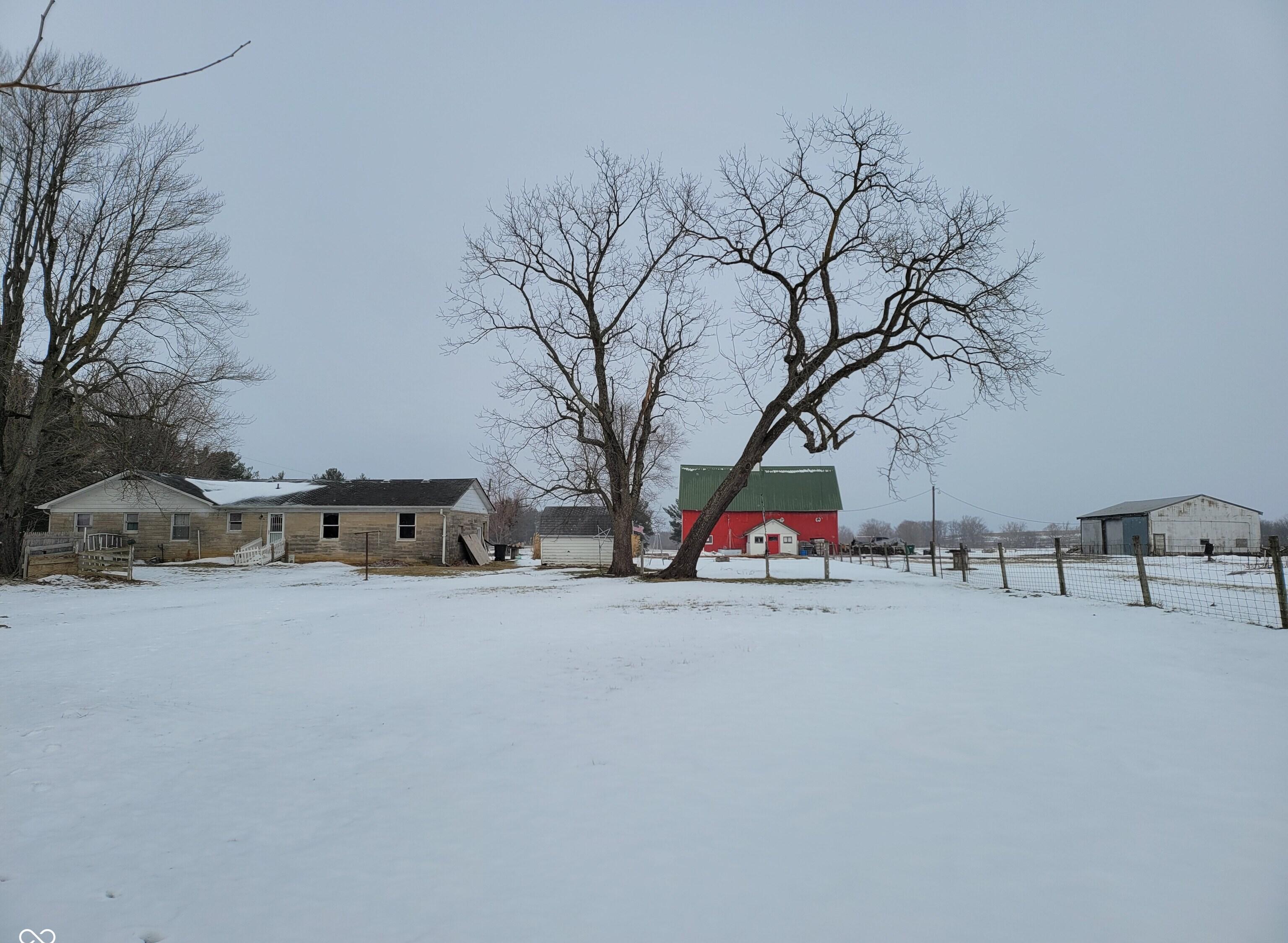 Photo #21