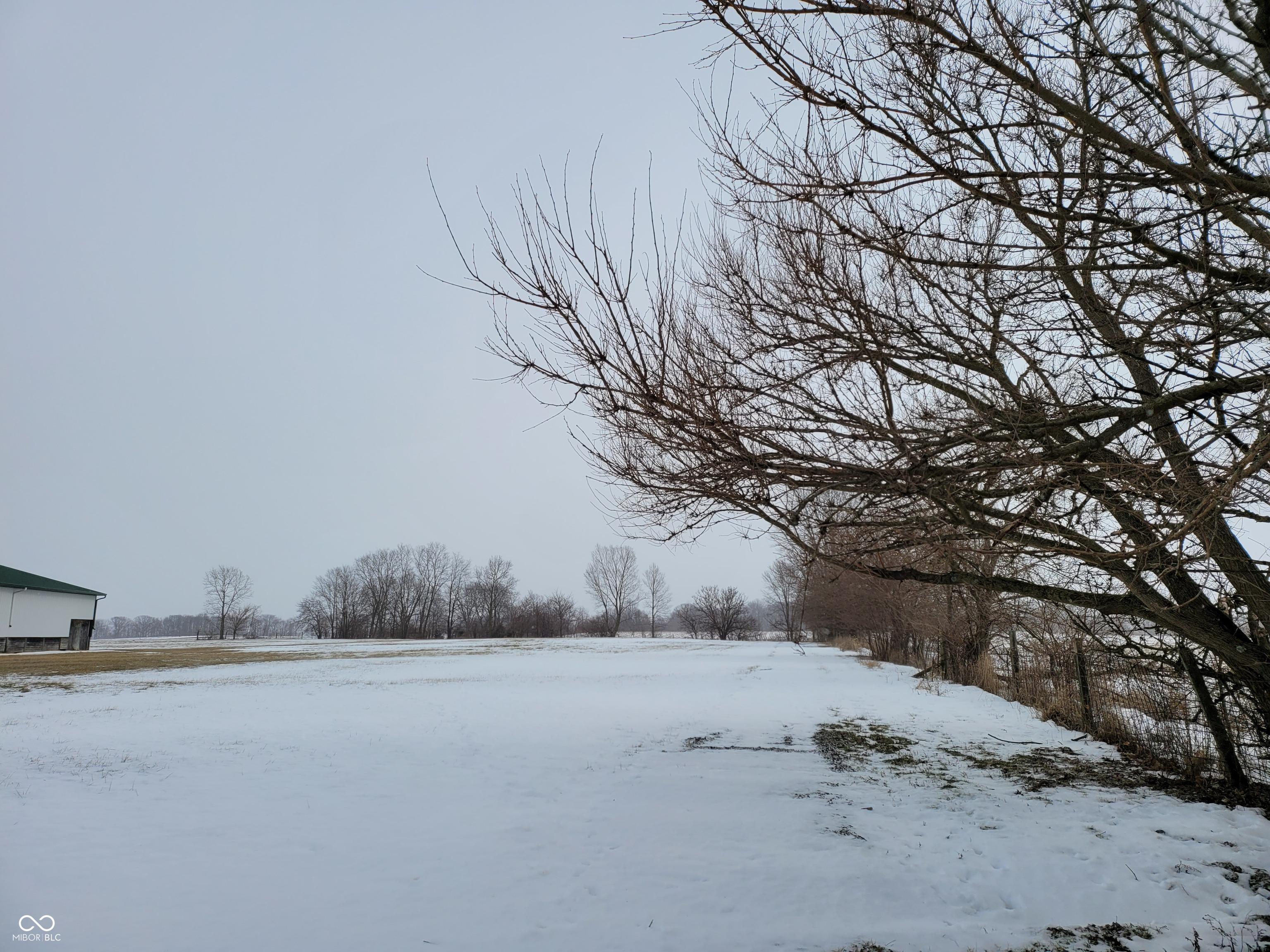 Photo #23