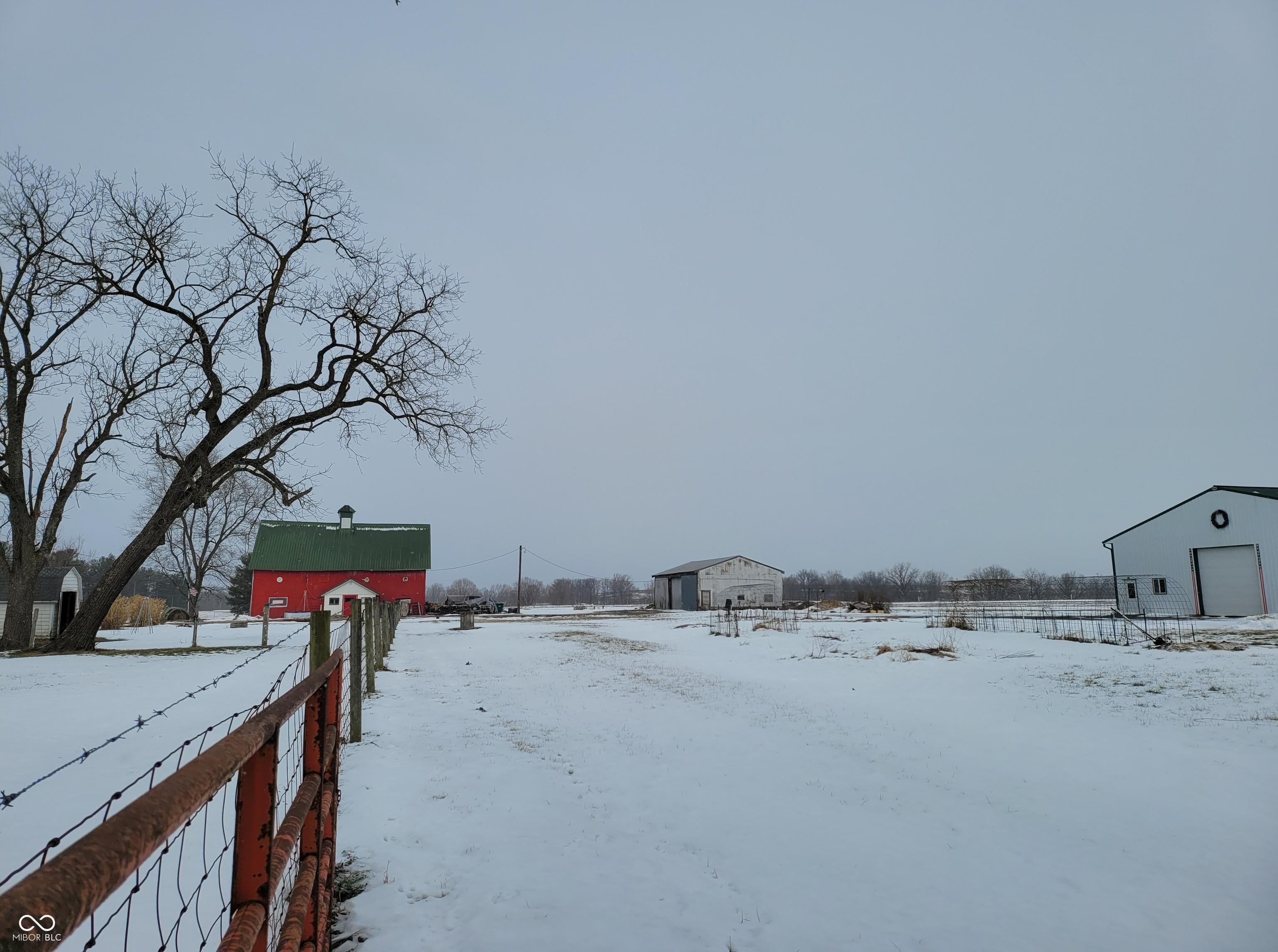 Photo #24