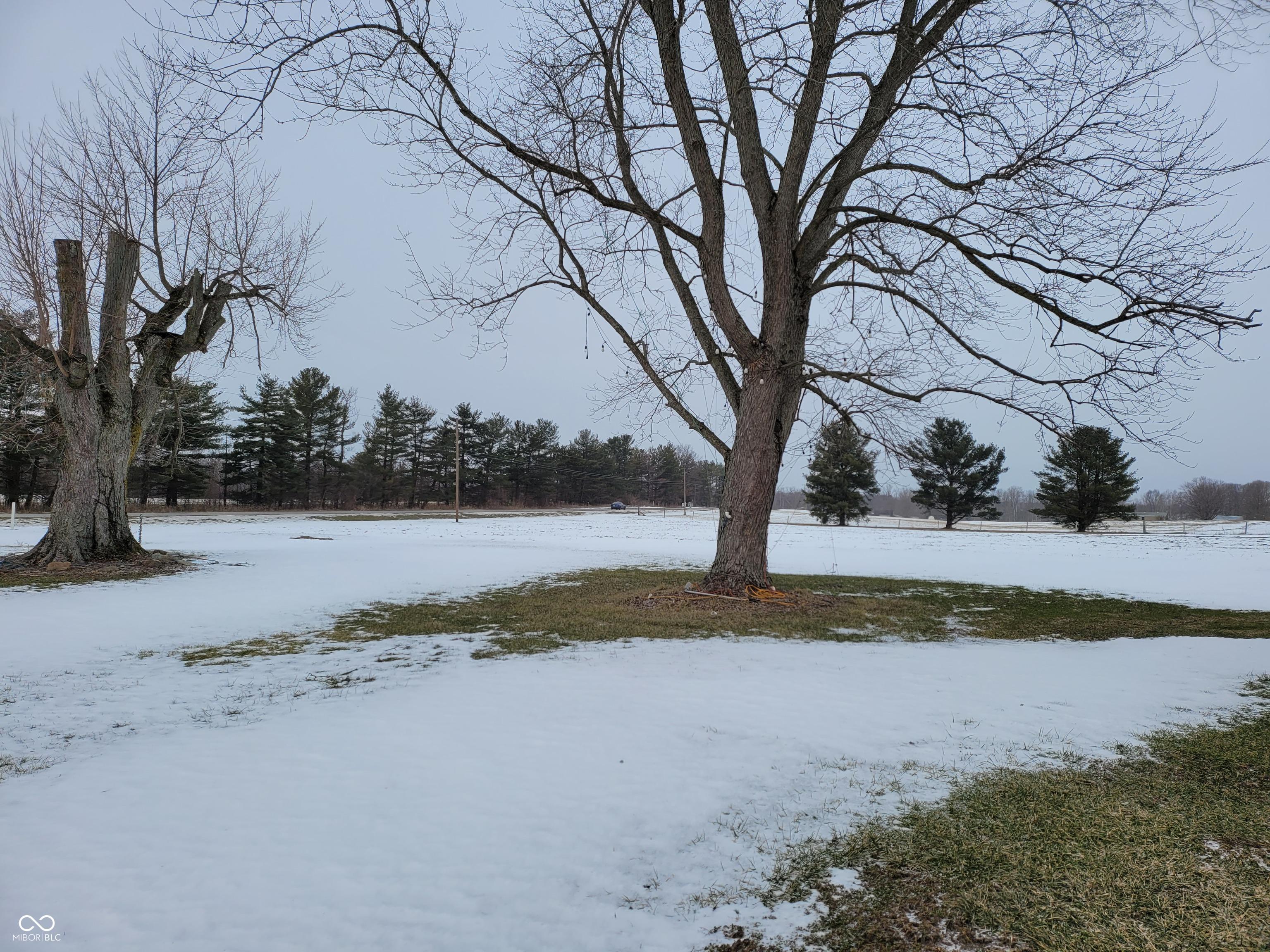 Photo #32