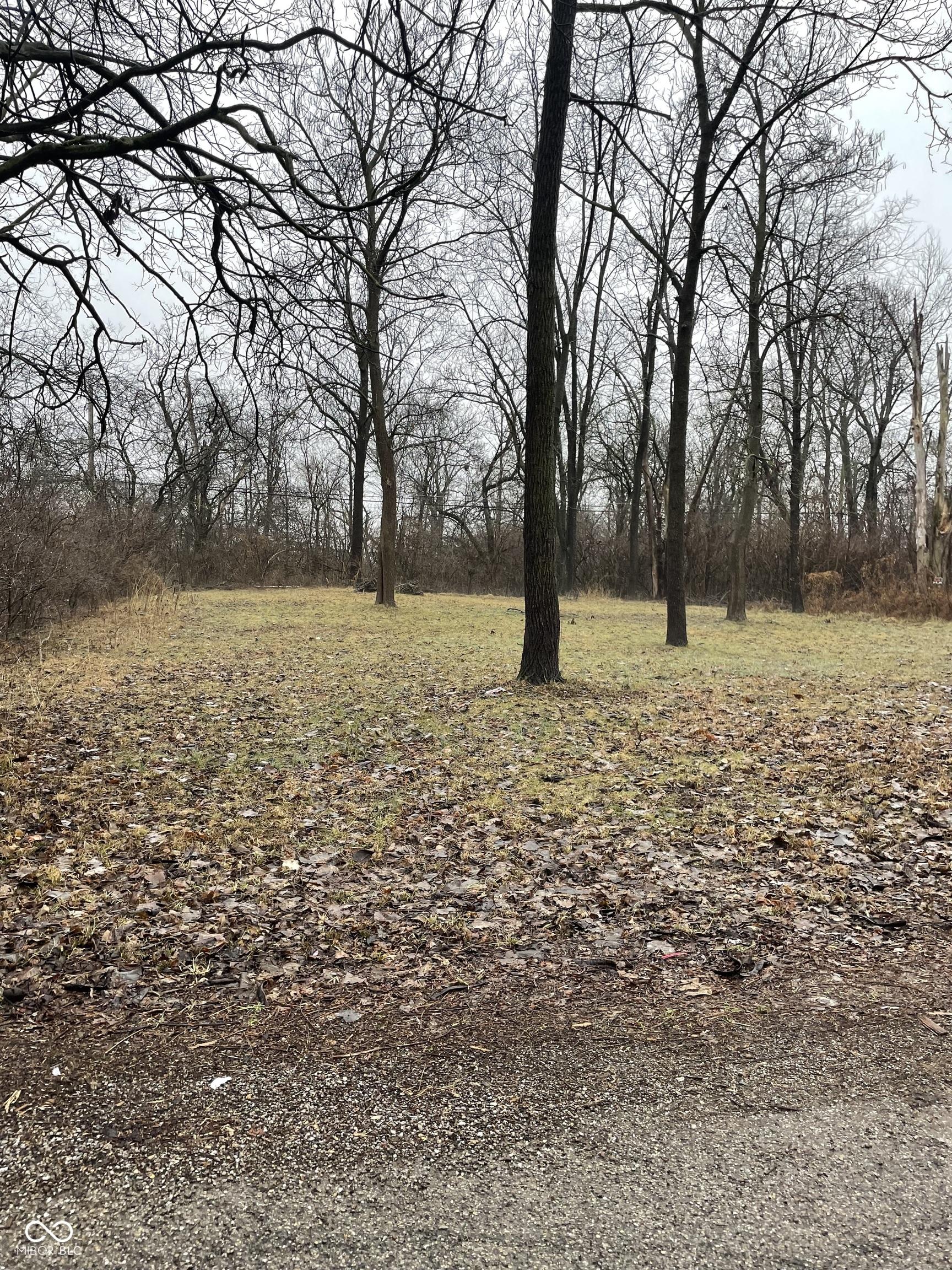 Photo #24