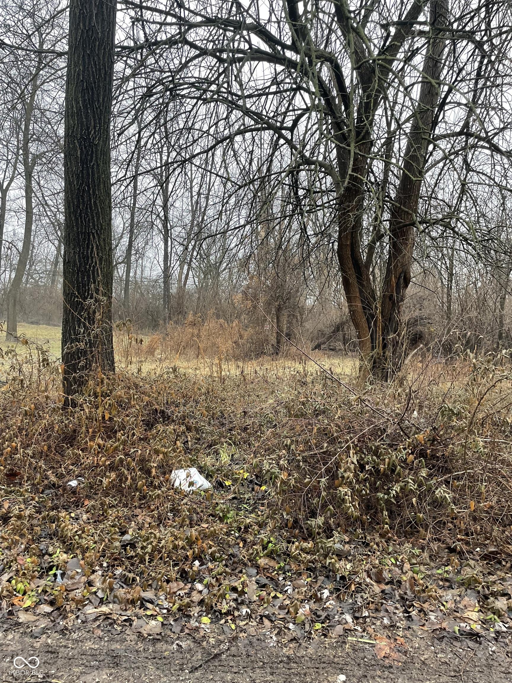 Photo #33
