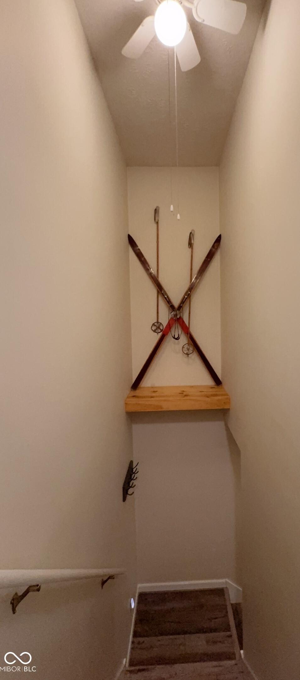 Photo #24
