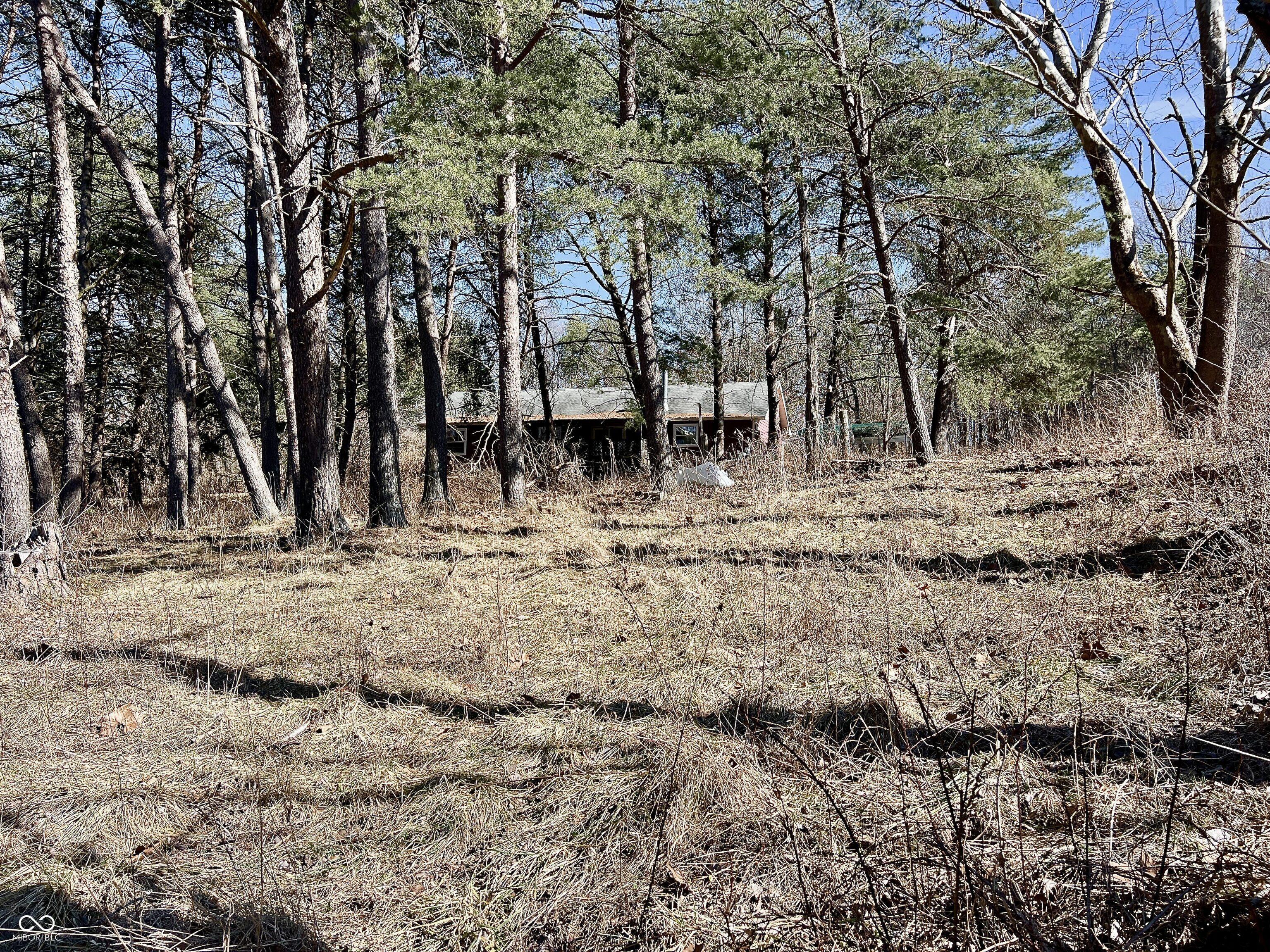 Photo #52
