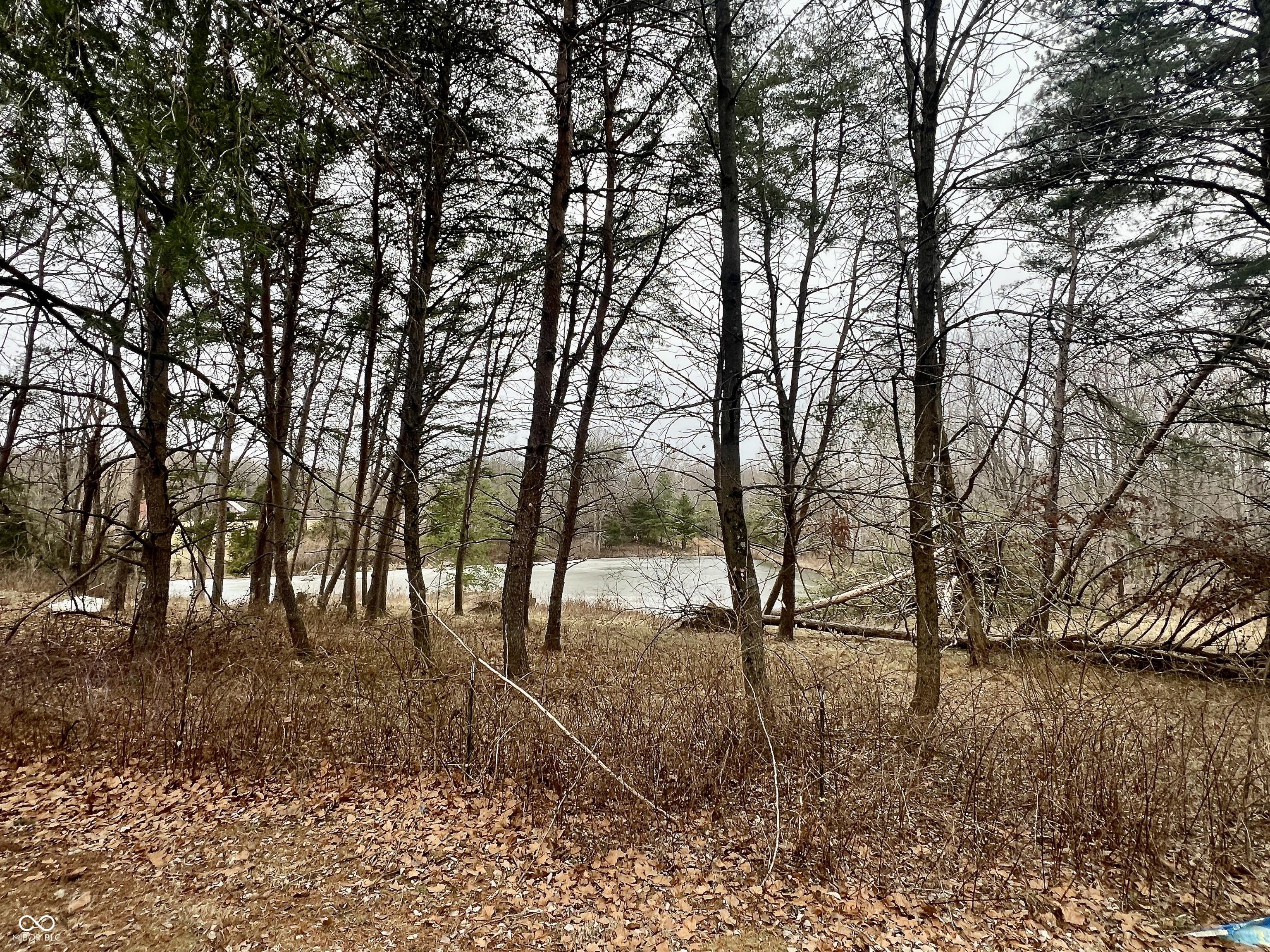 Photo #38
