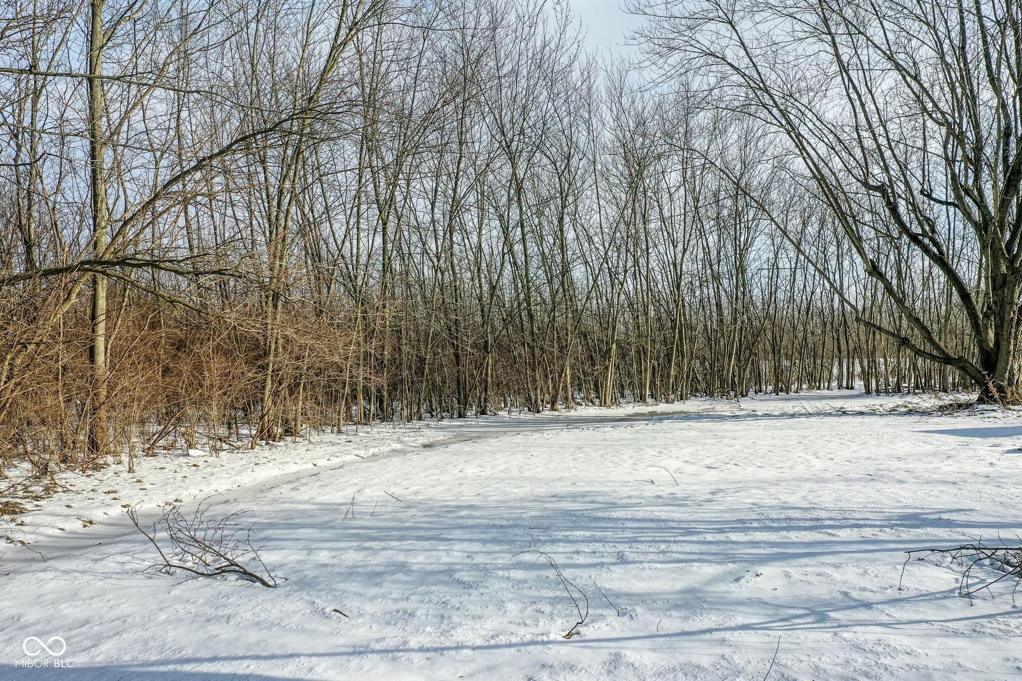 Photo #37