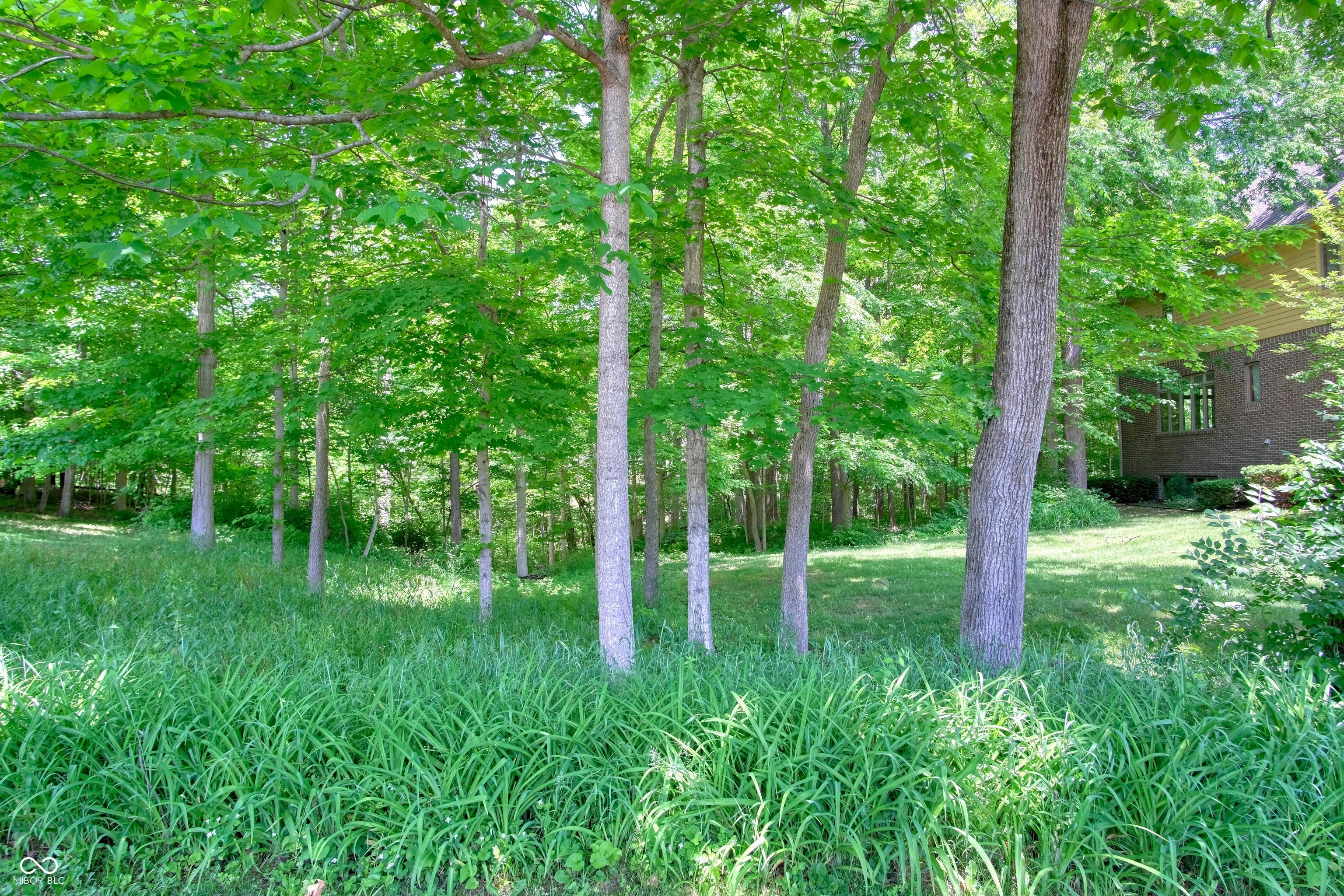 Photo #42