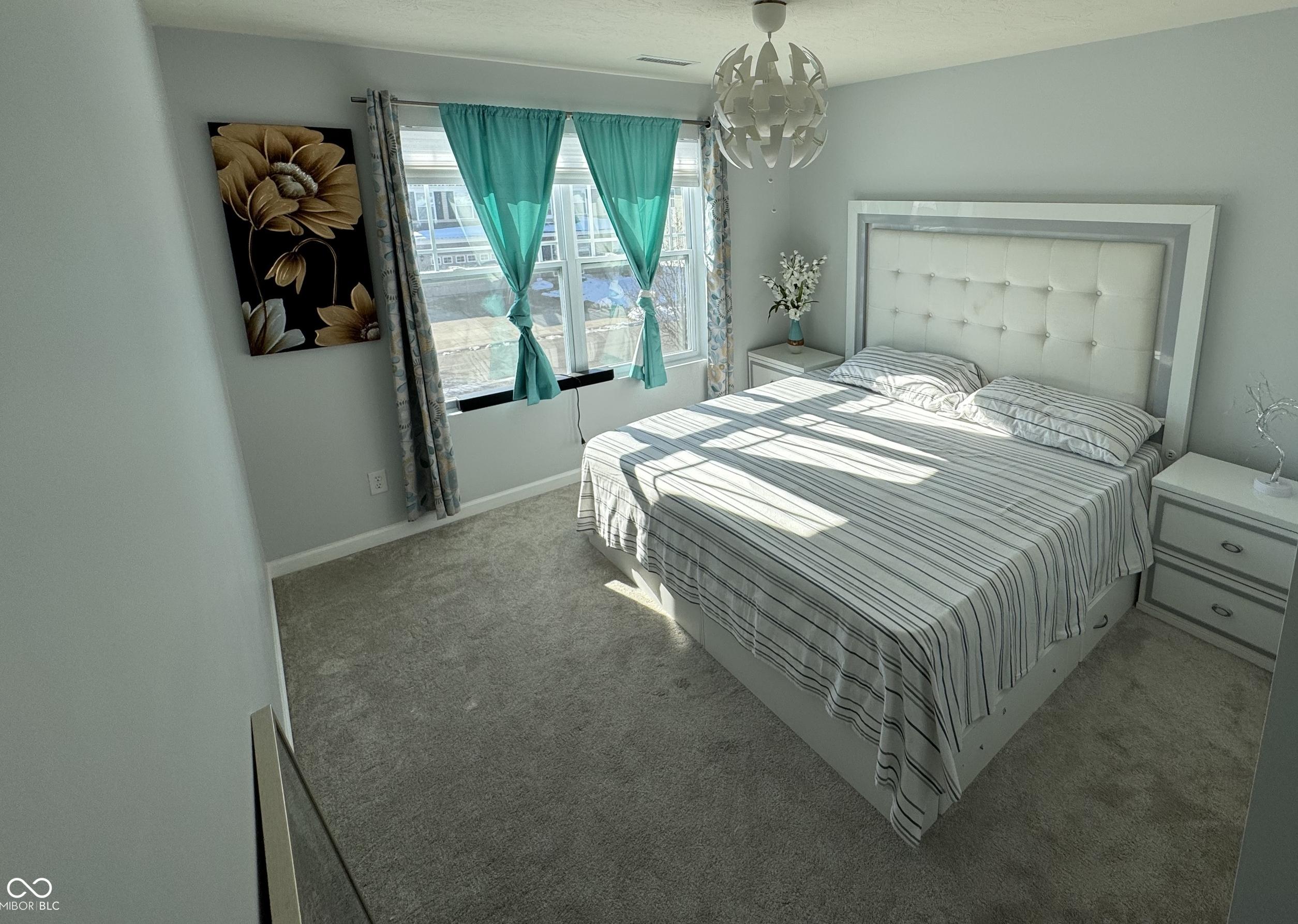 Photo #16