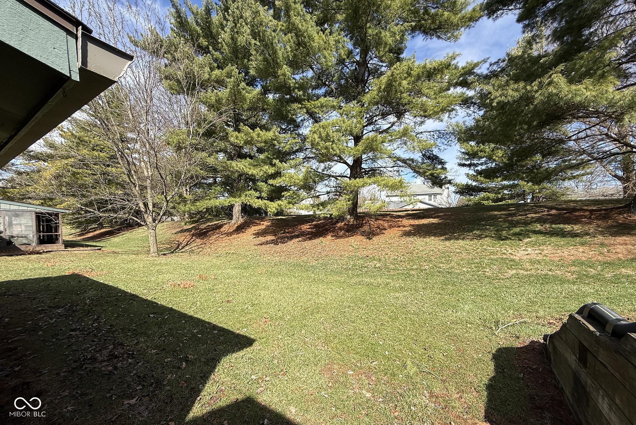 Photo #21
