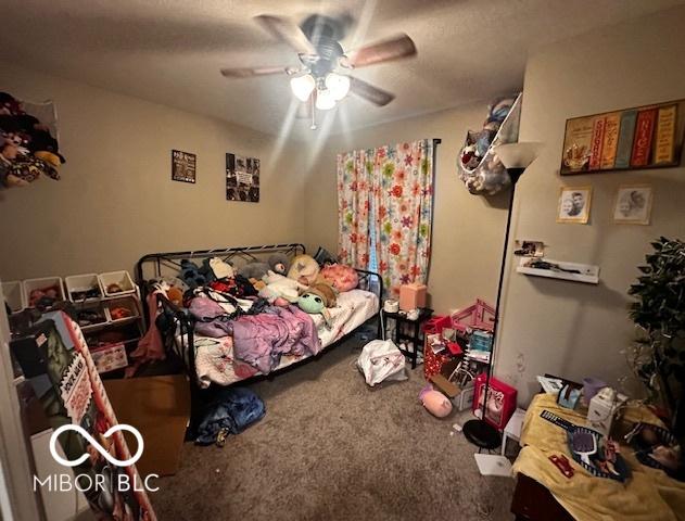 Photo #9