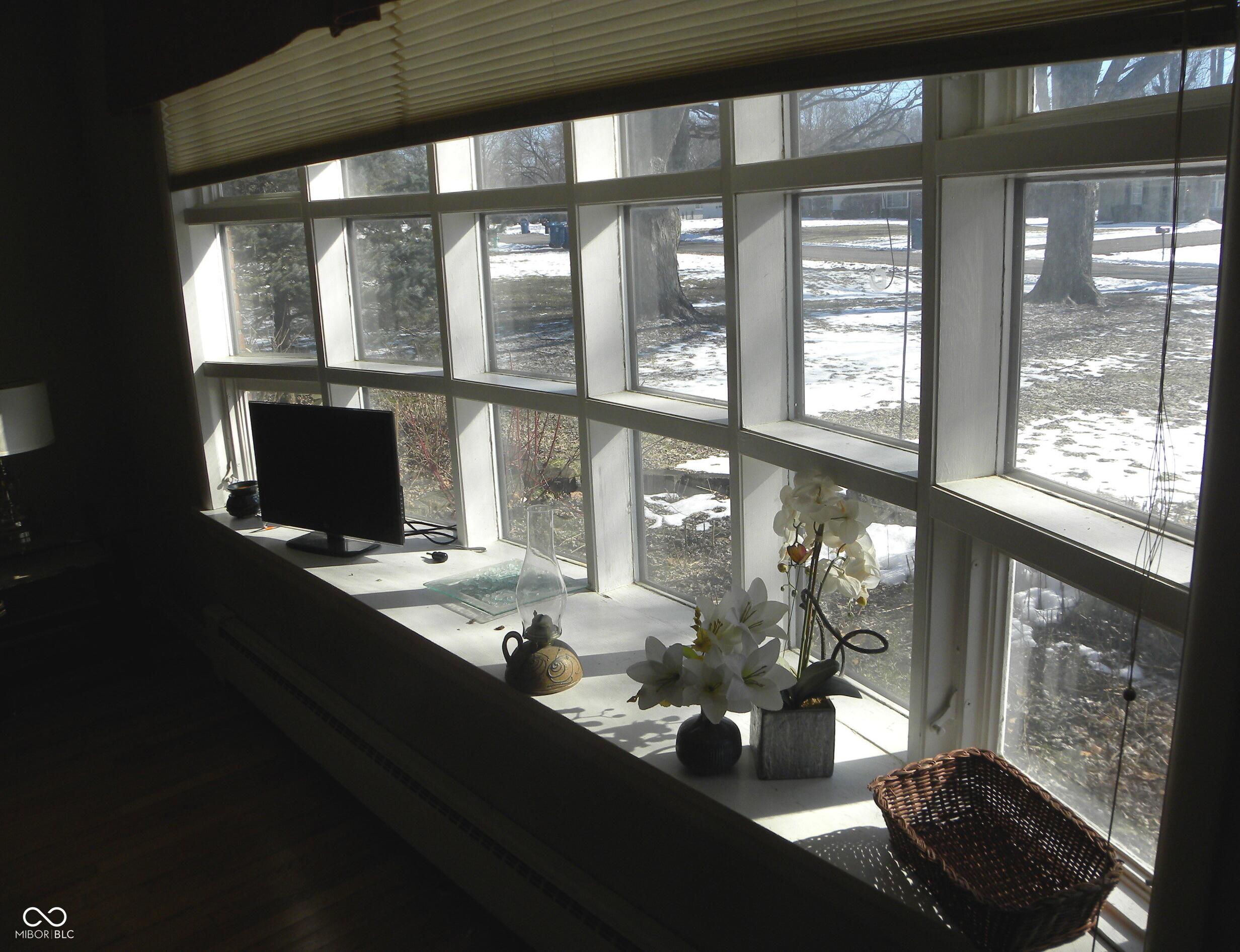 Photo #4