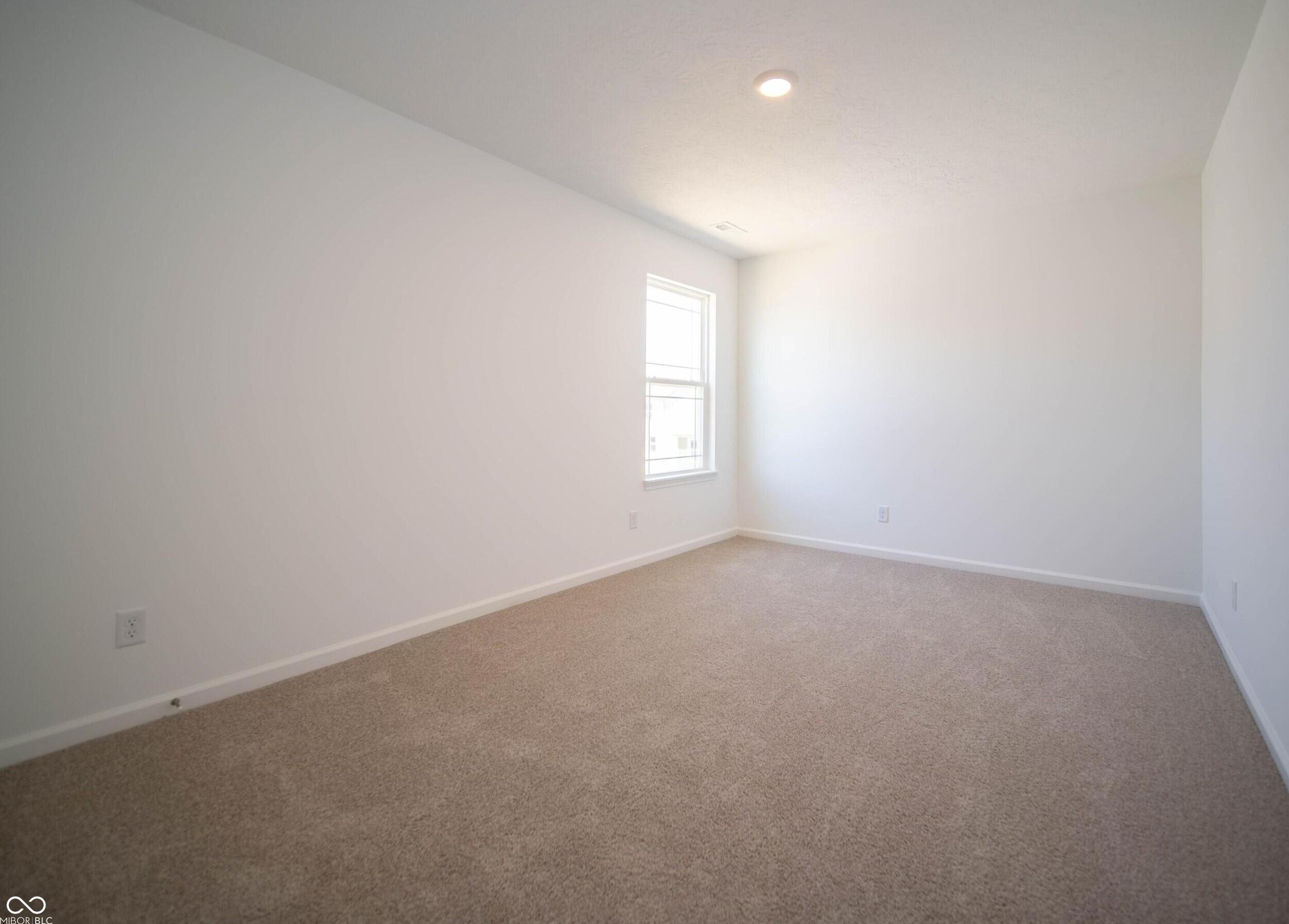 Photo #31