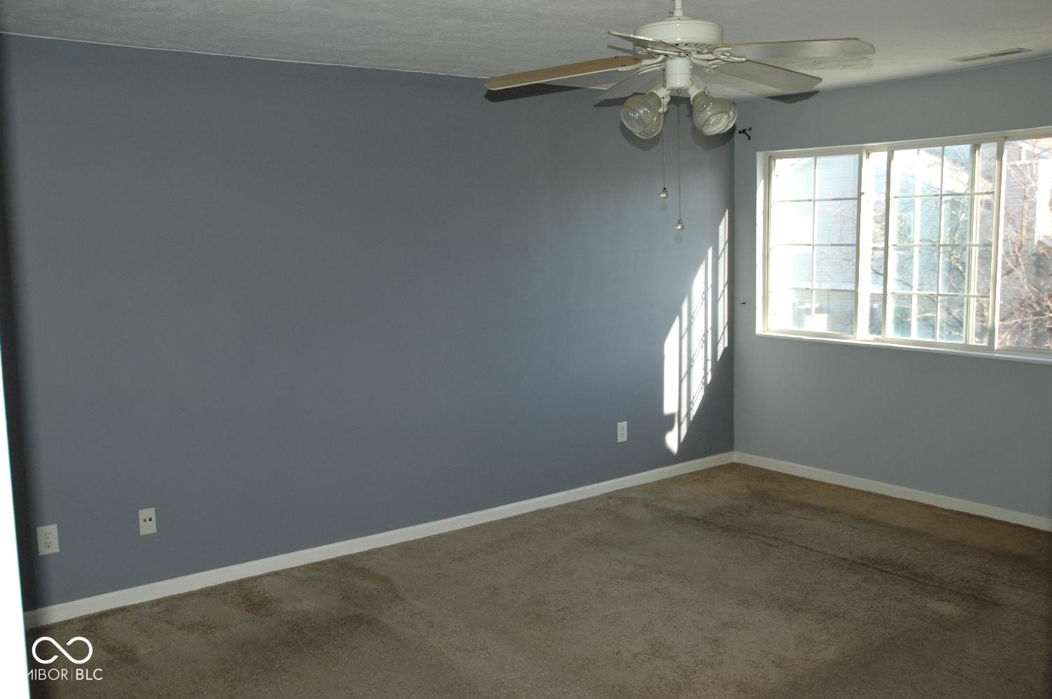 Photo #8