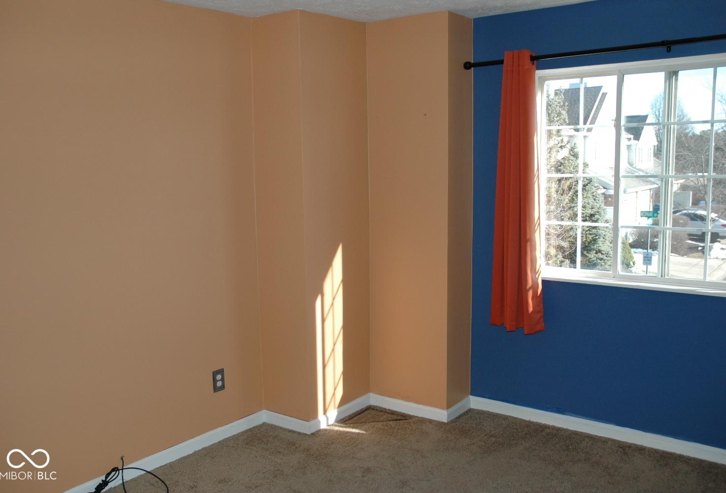 Photo #12