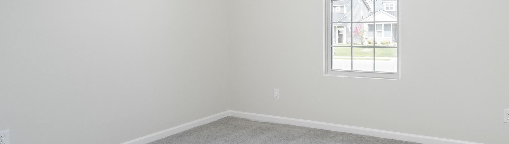 Photo #15