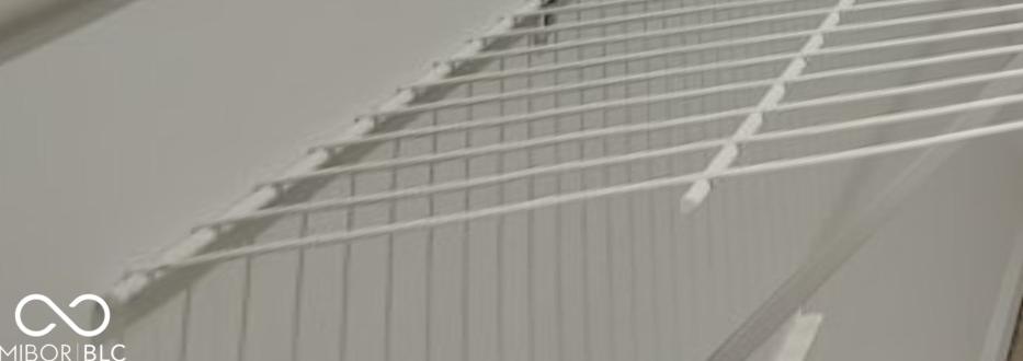 Photo #12