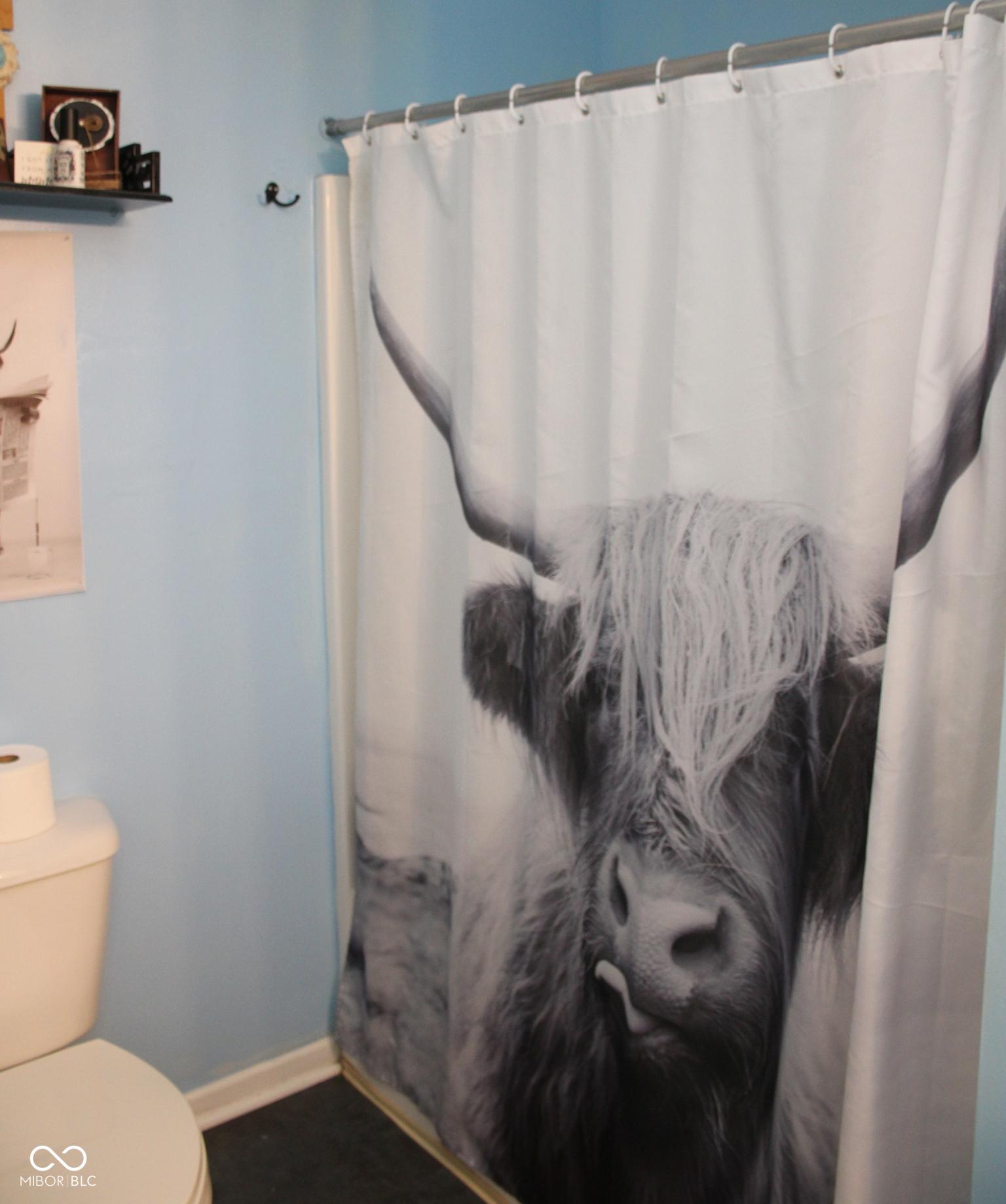 Photo #17