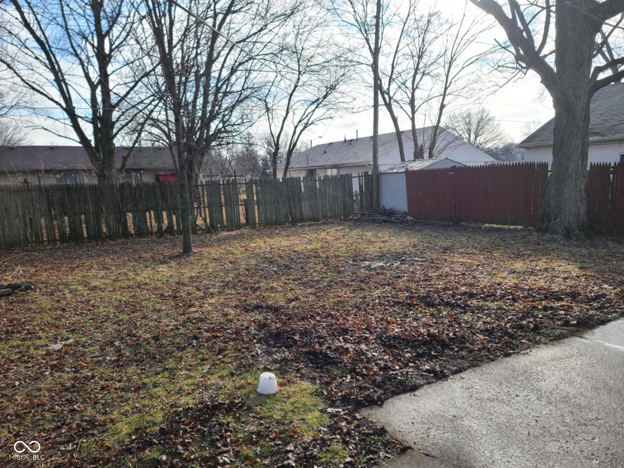 Photo #2