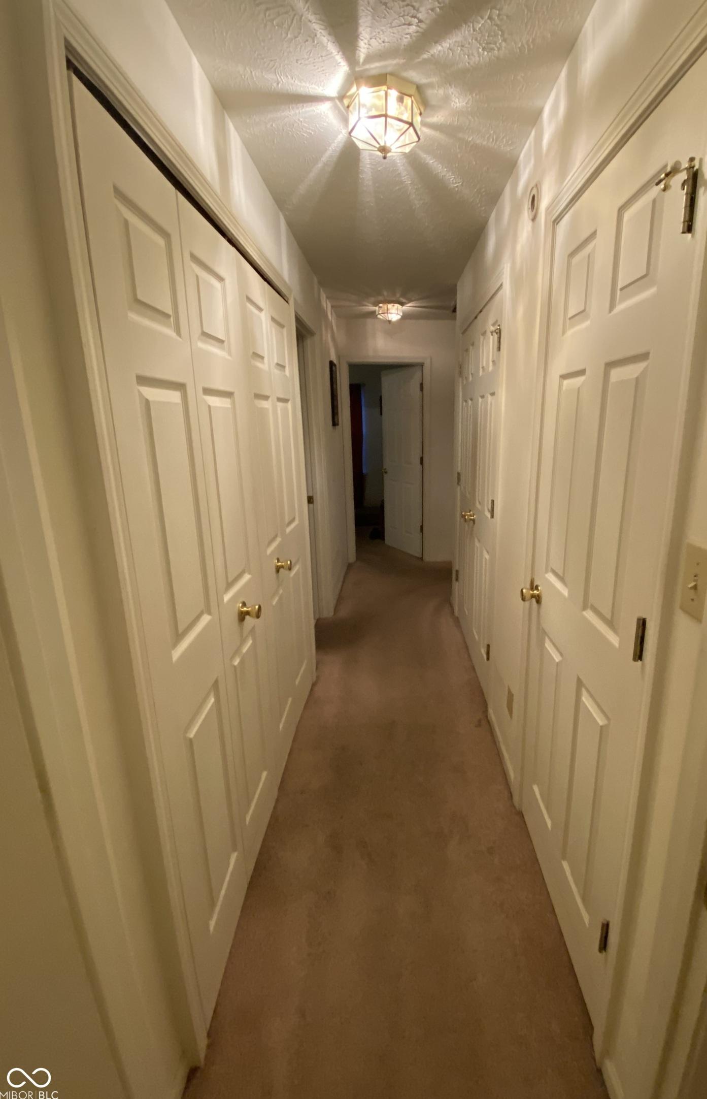 Photo #32