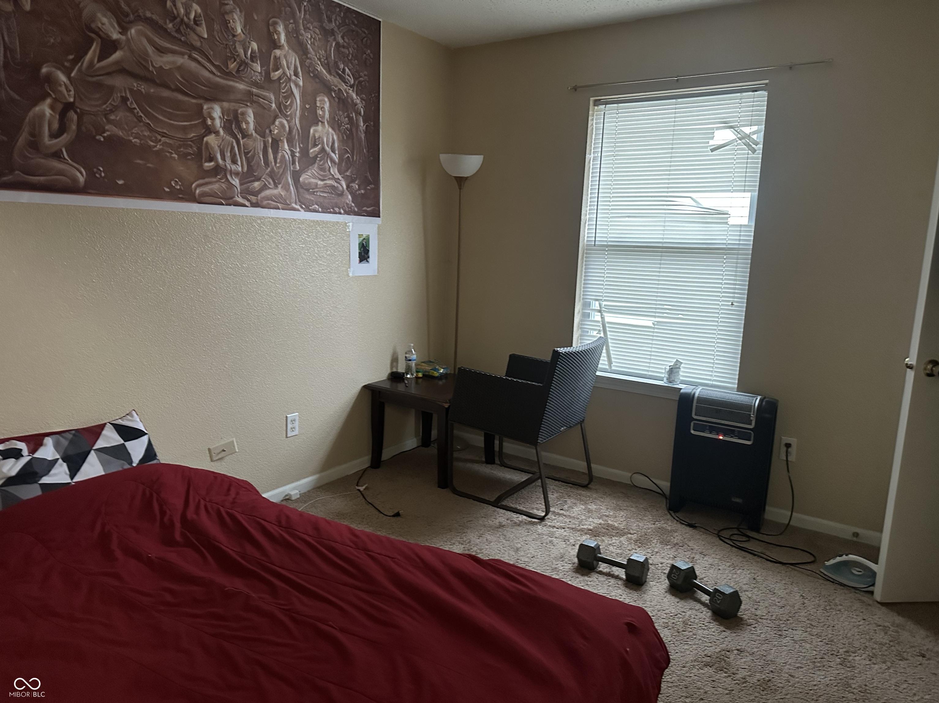 Photo #14
