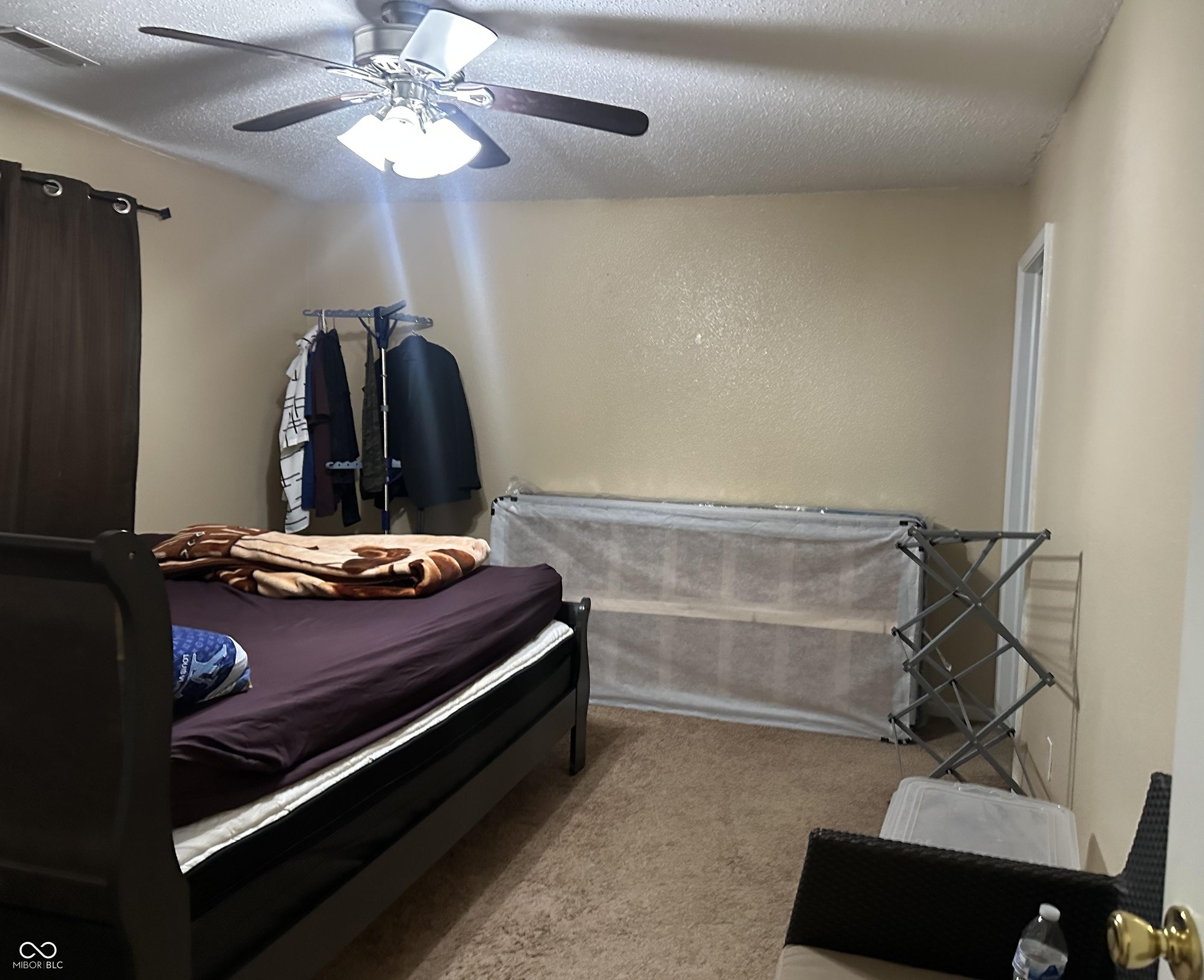 Photo #21