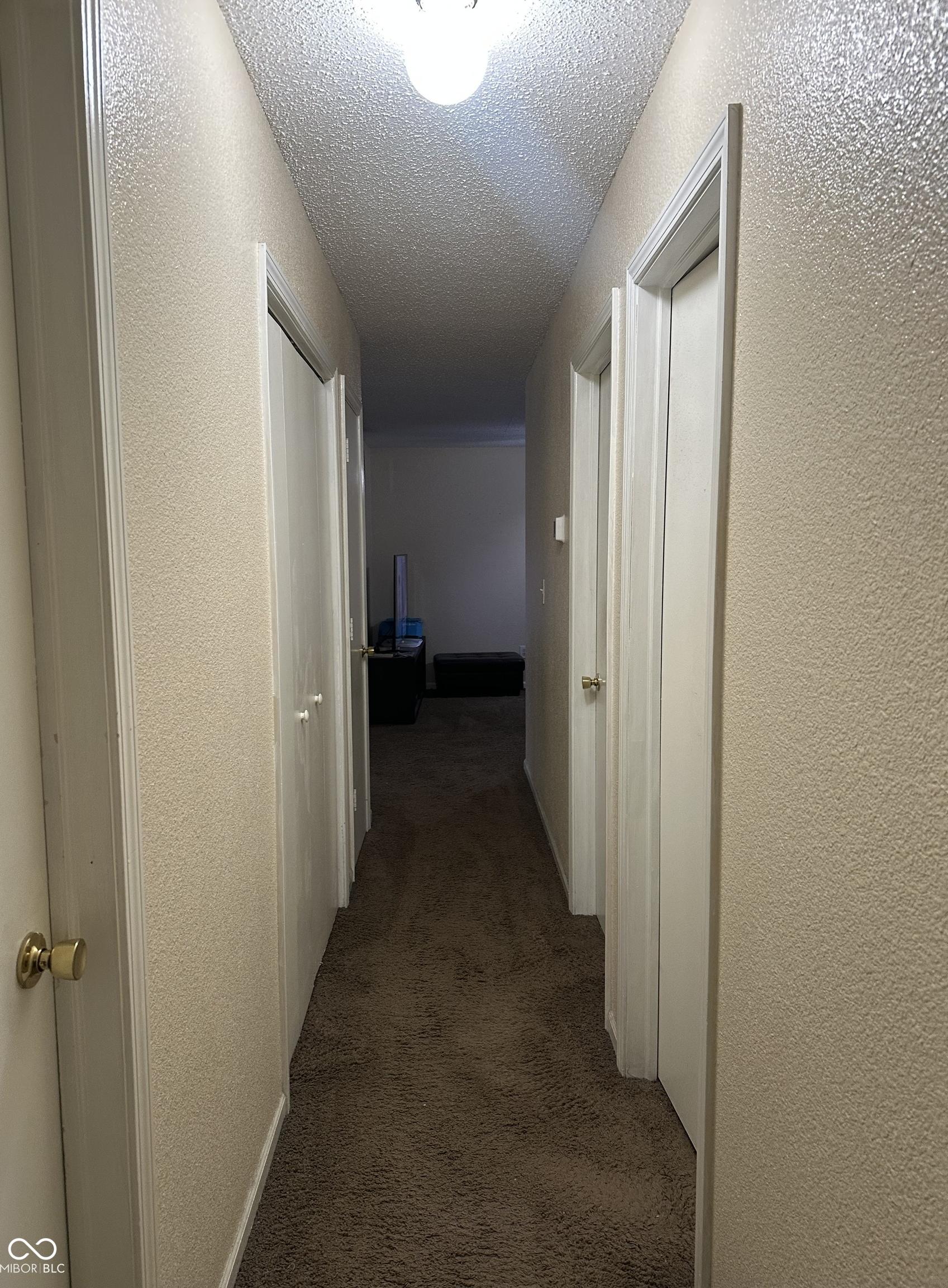 Photo #17