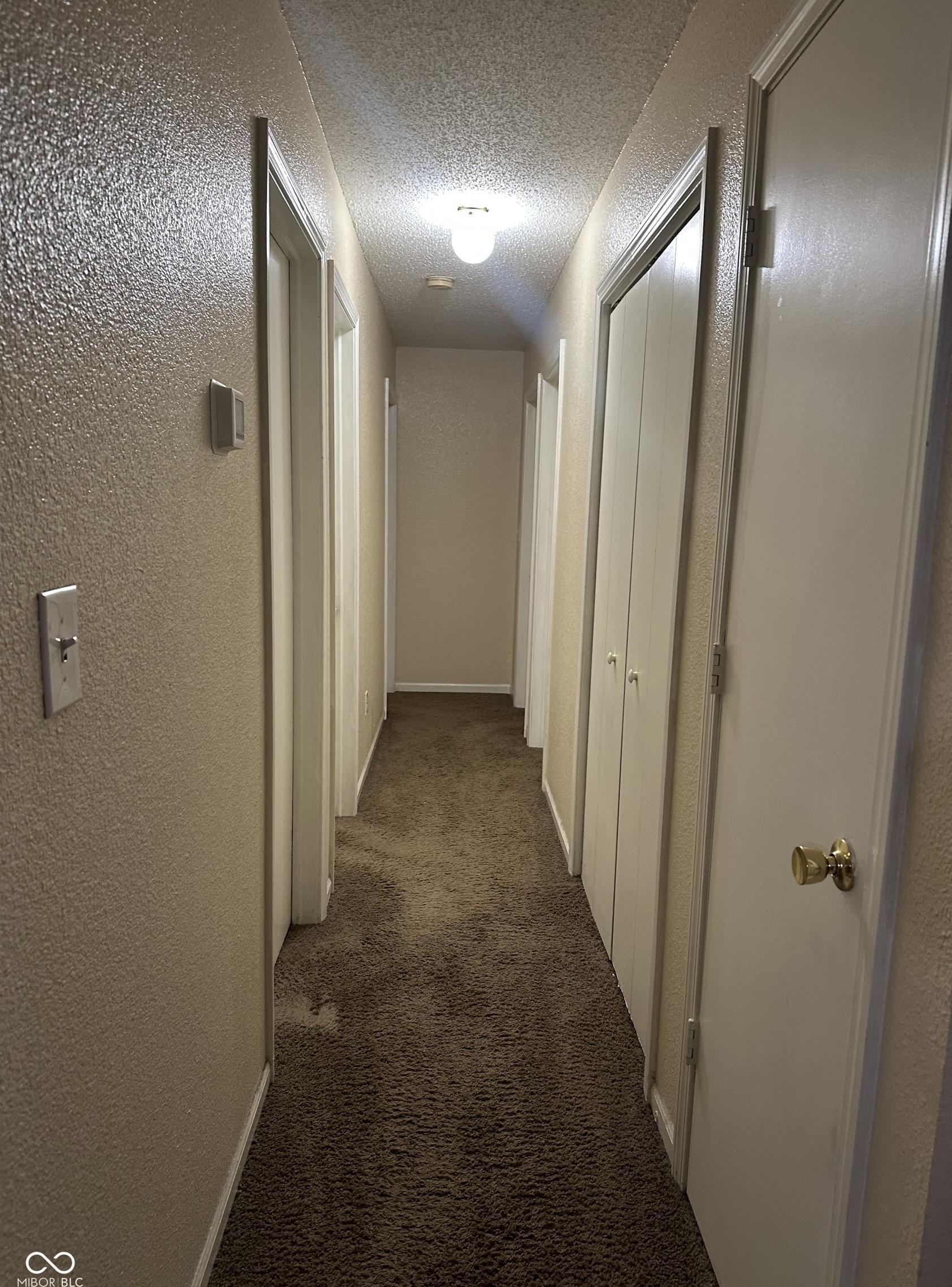 Photo #22