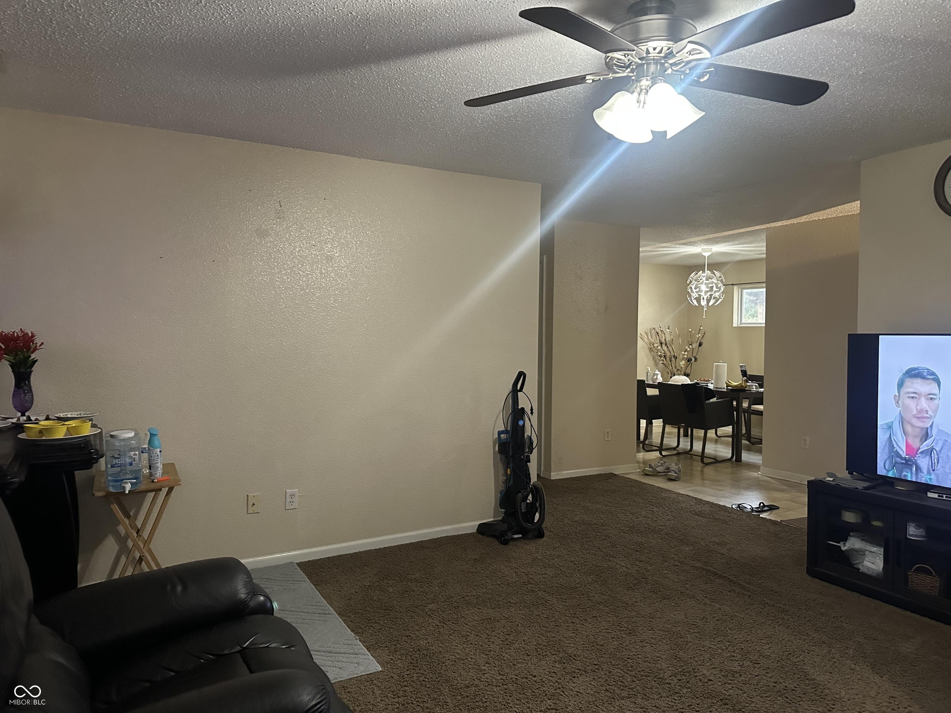 Photo #24