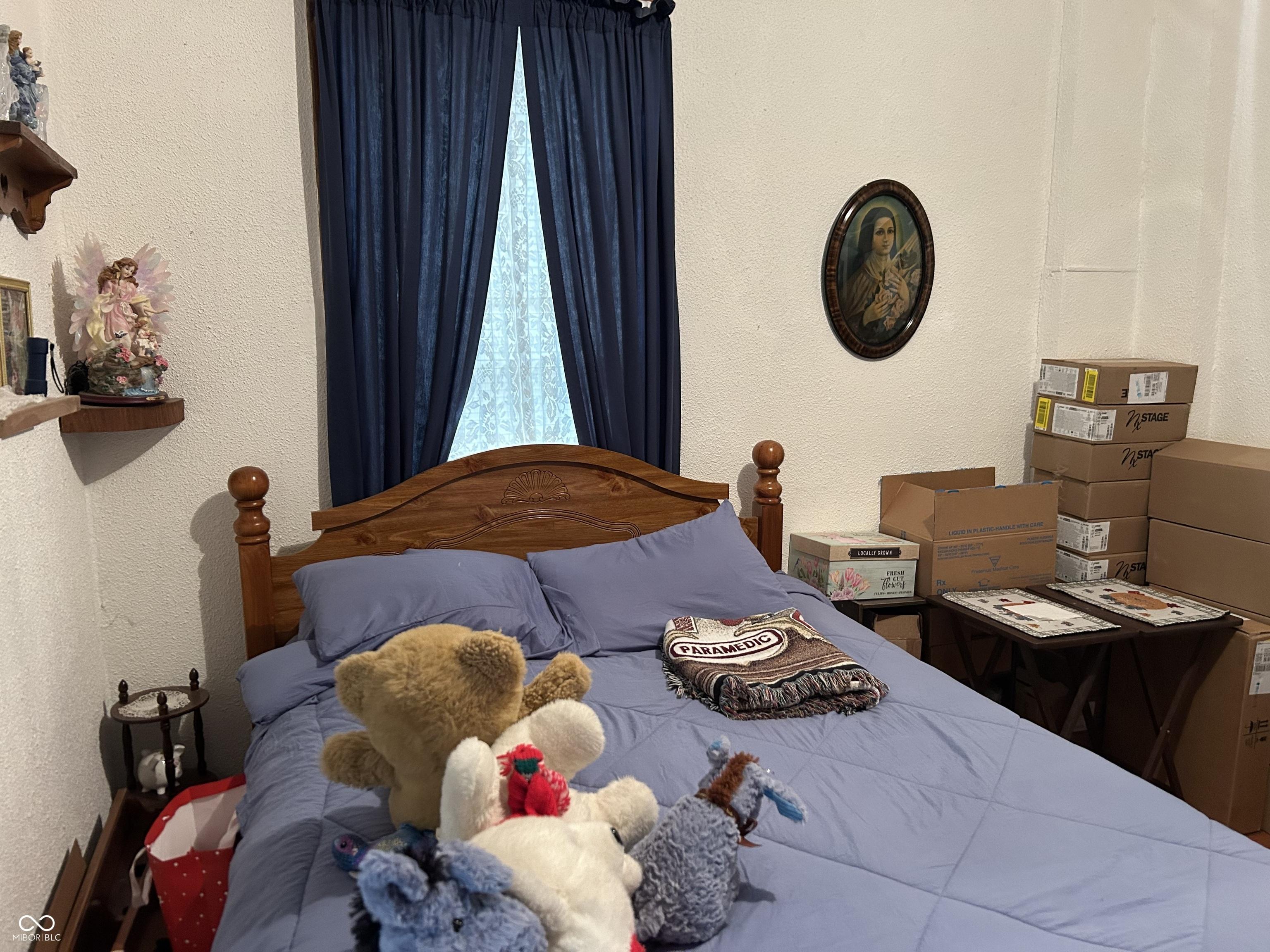 Photo #16