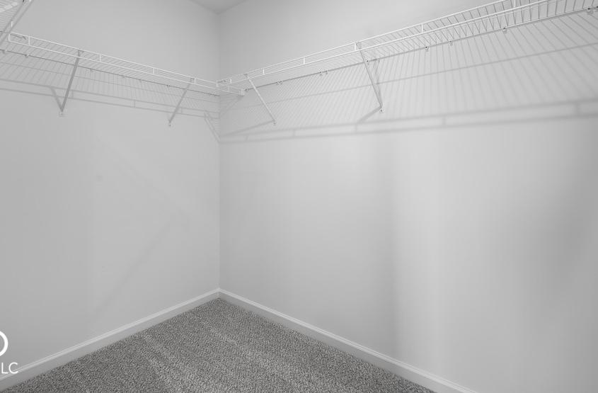 Photo #13