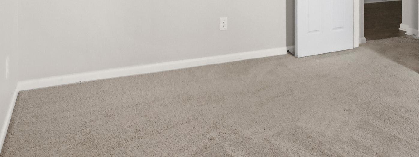 Photo #29