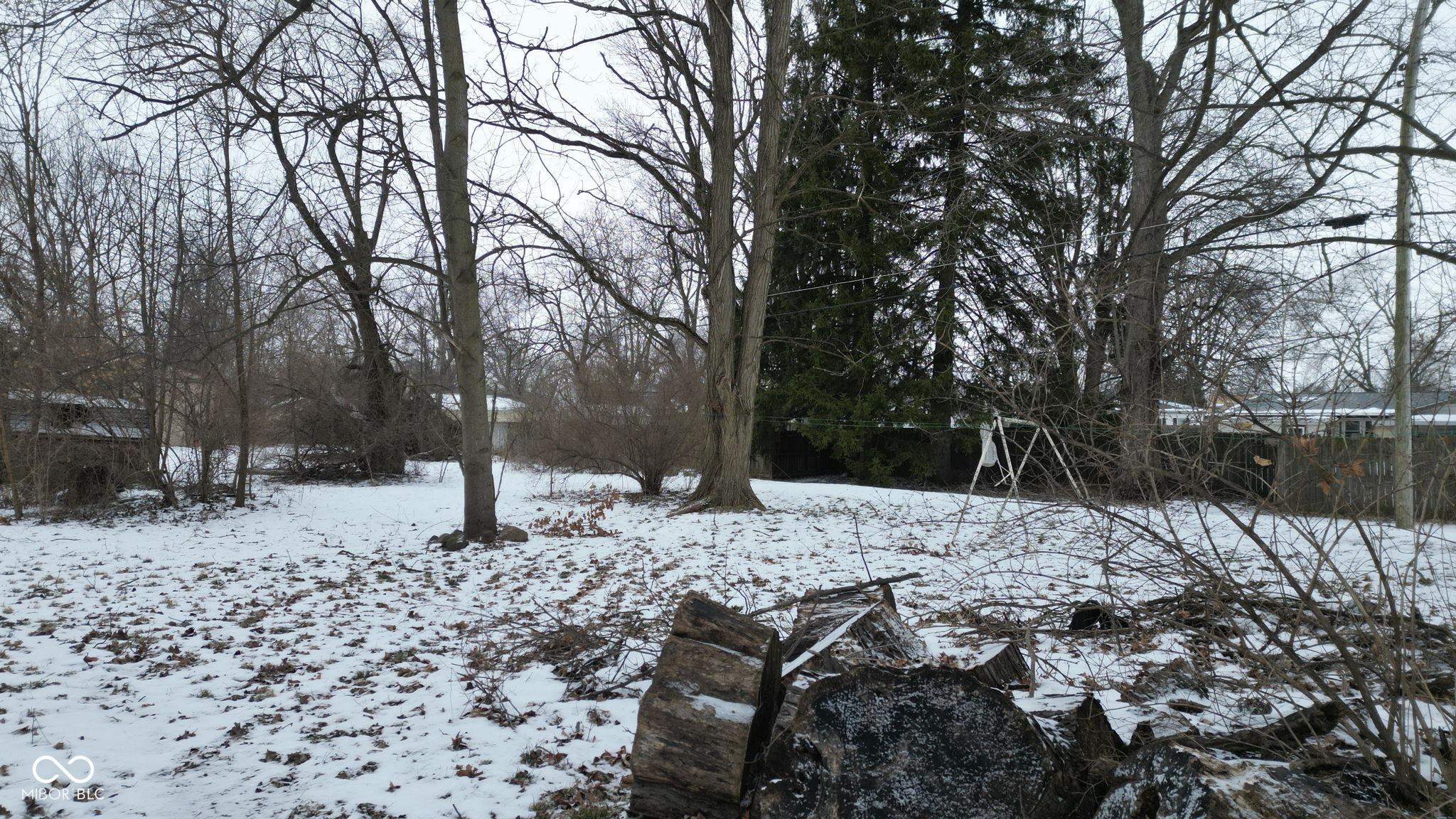 Photo #4