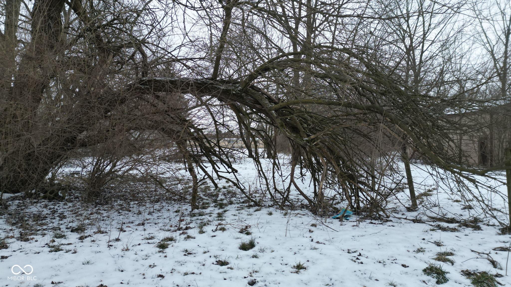 Photo #13
