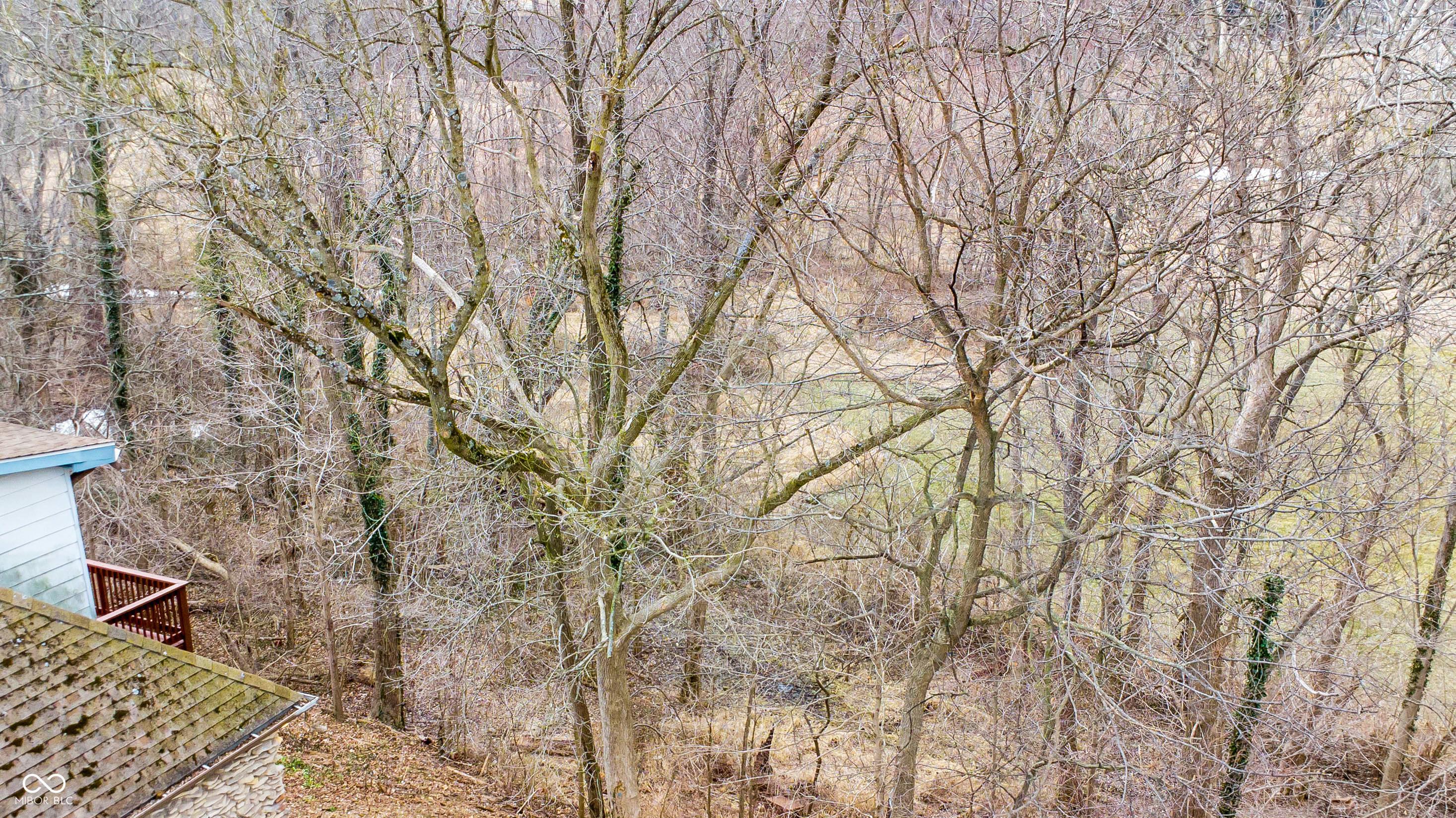 Photo #40