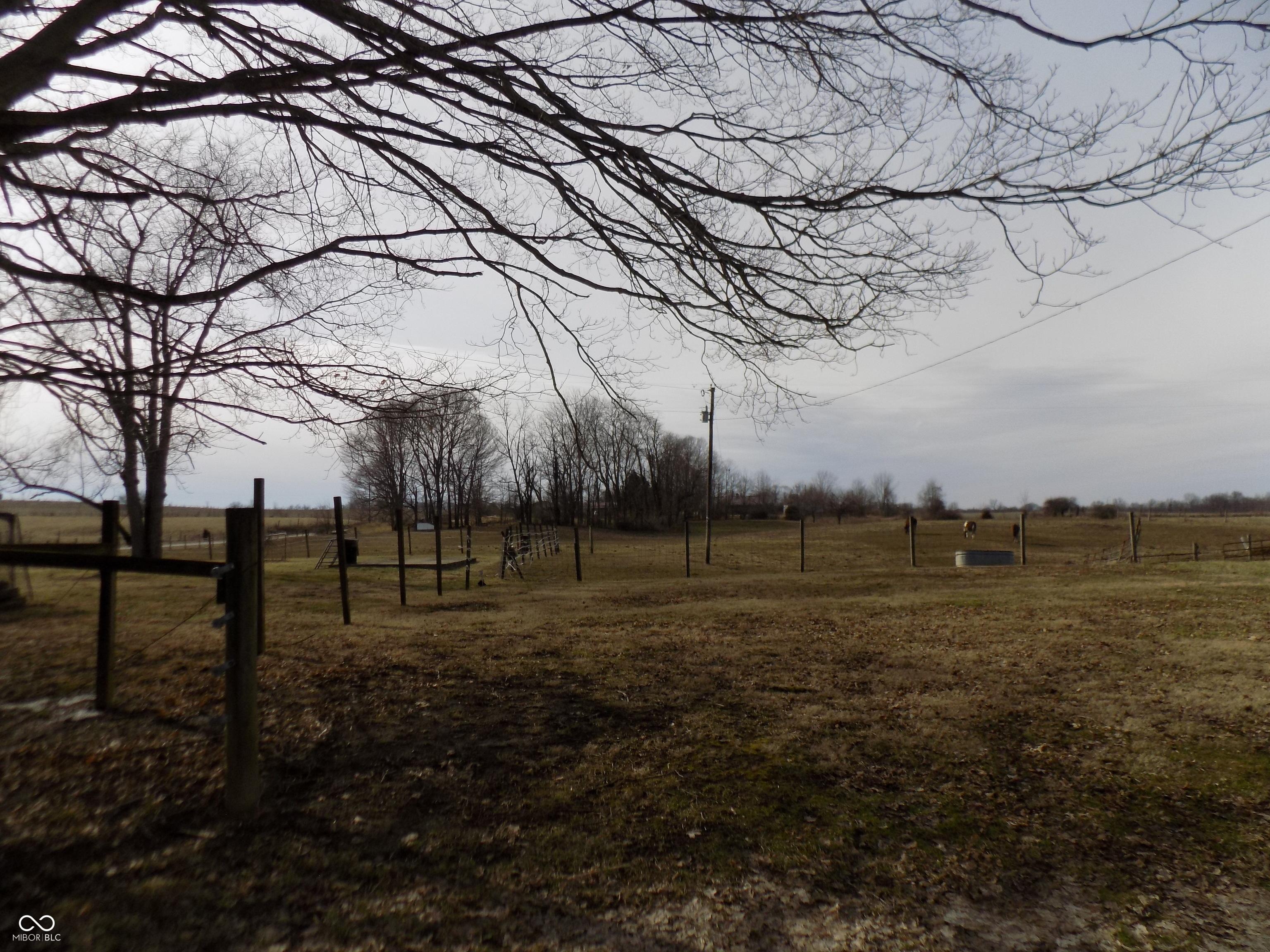 Photo #33