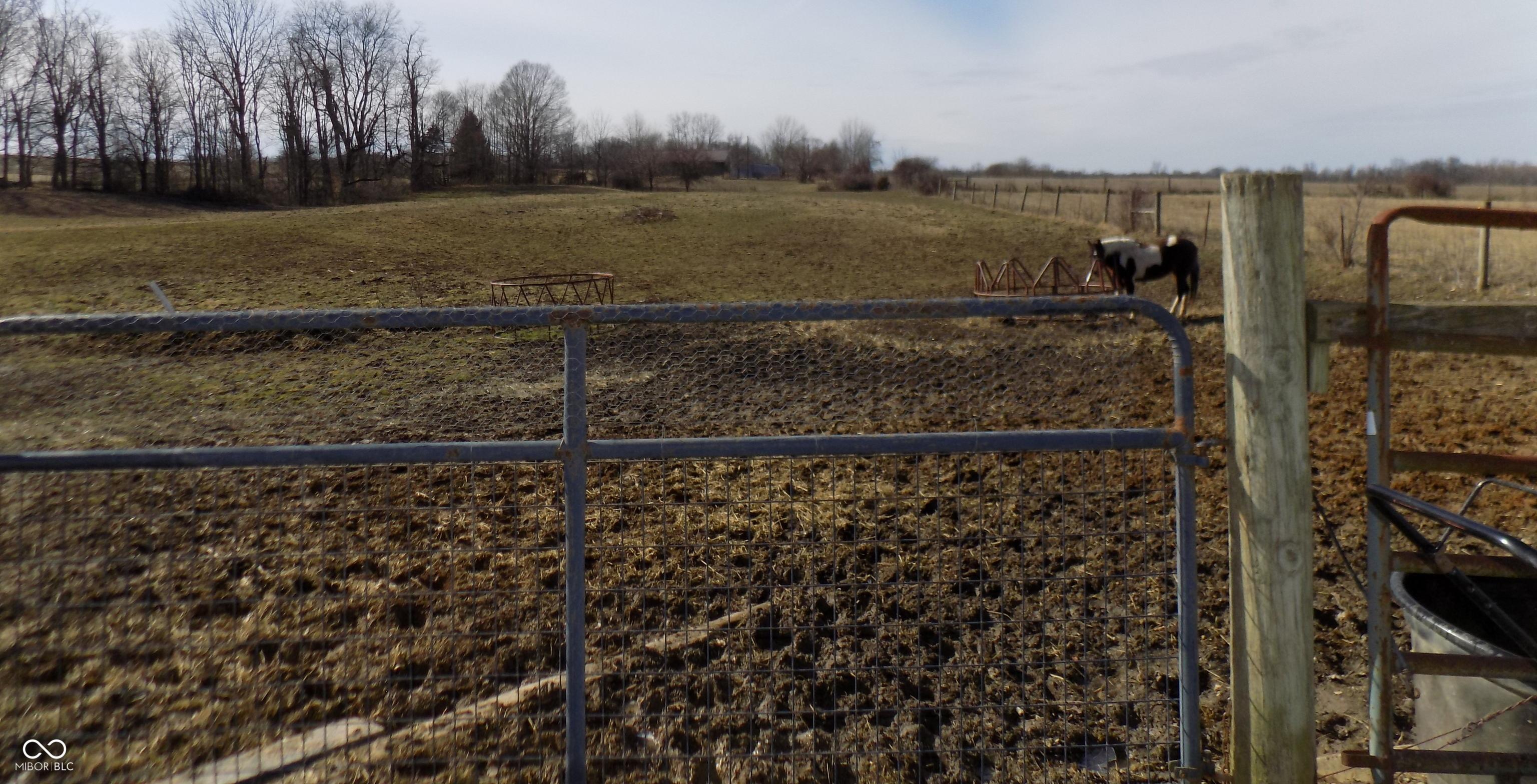 Photo #24