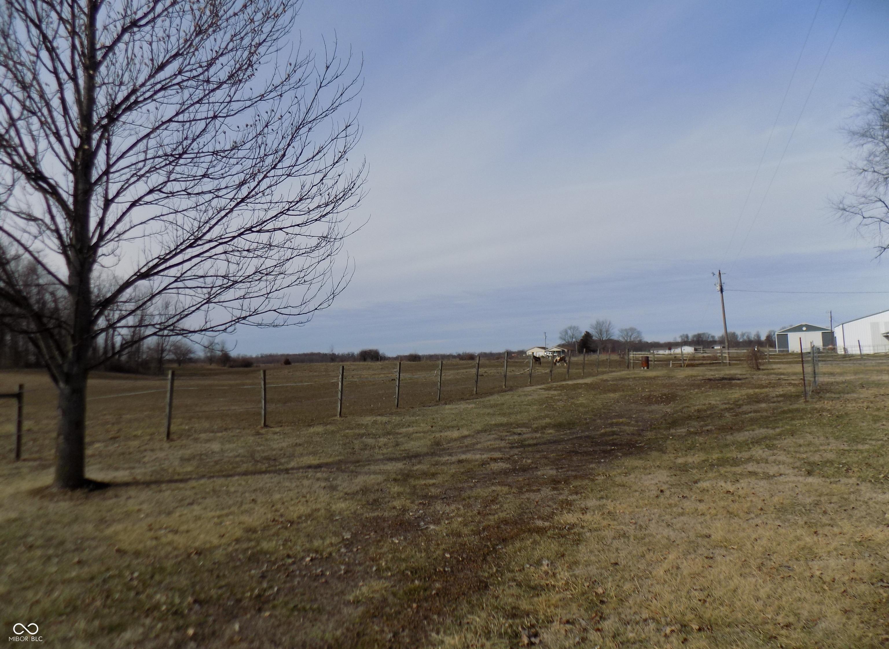 Photo #31