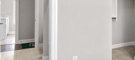Photo #12